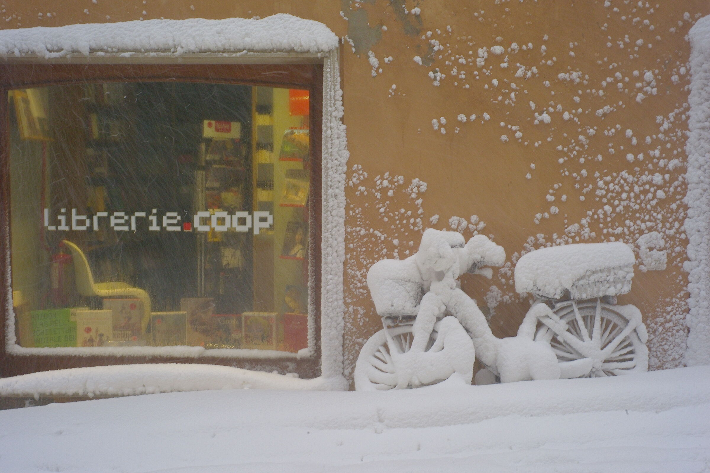 Pesaro 2012: libreria Coop