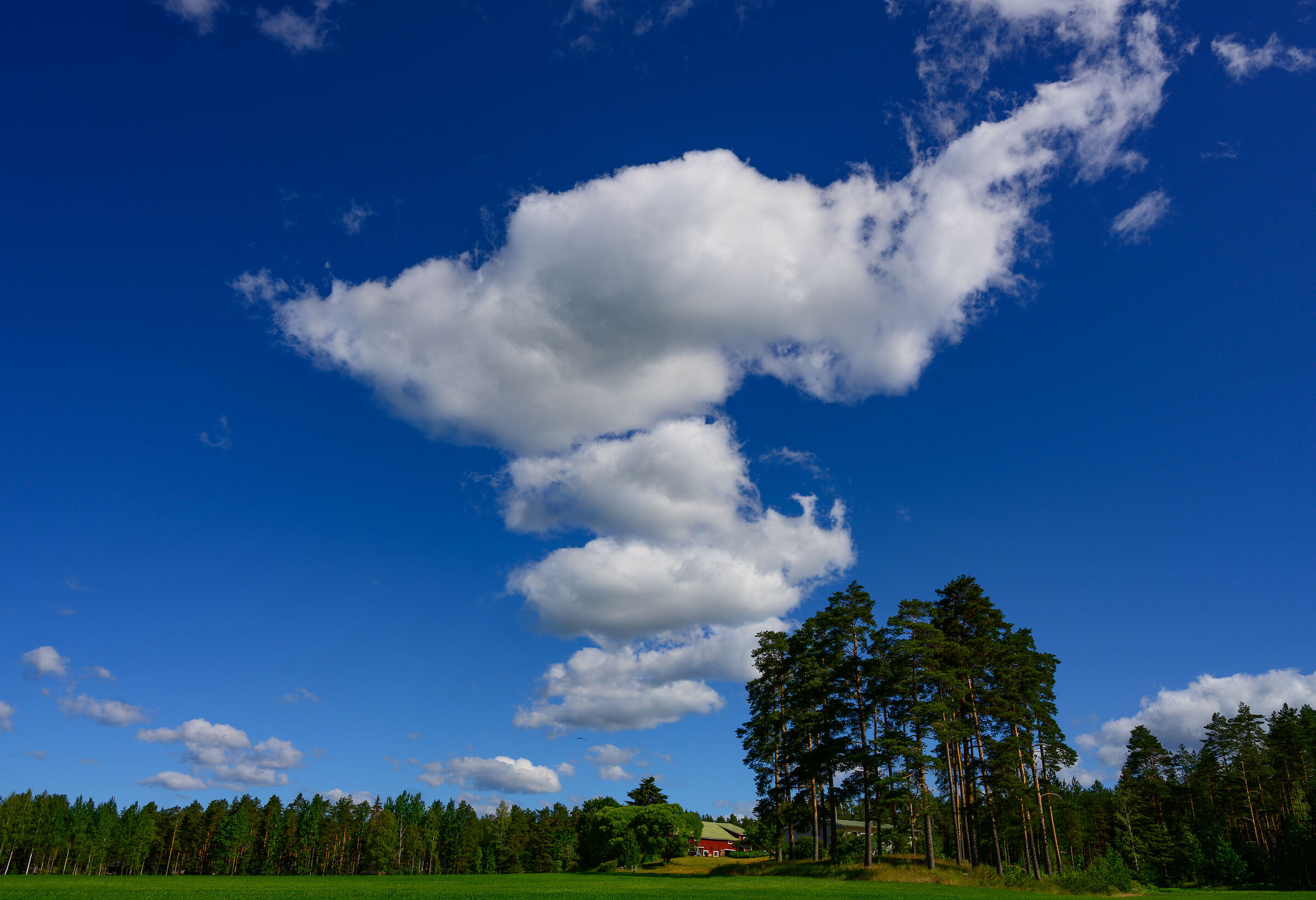 Somewhere in Finland