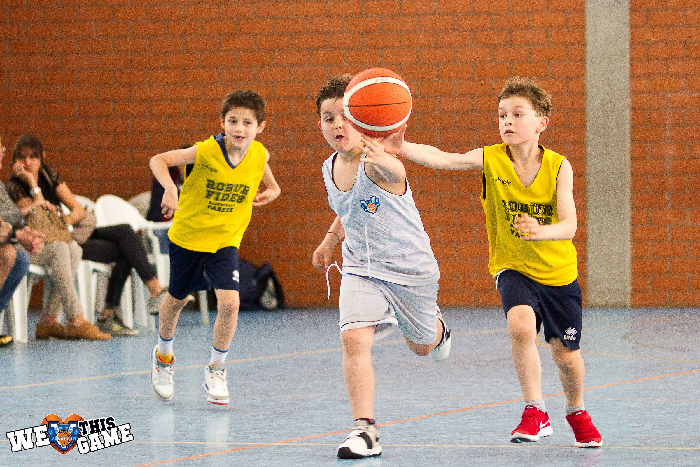 Virtus Verbania Basket