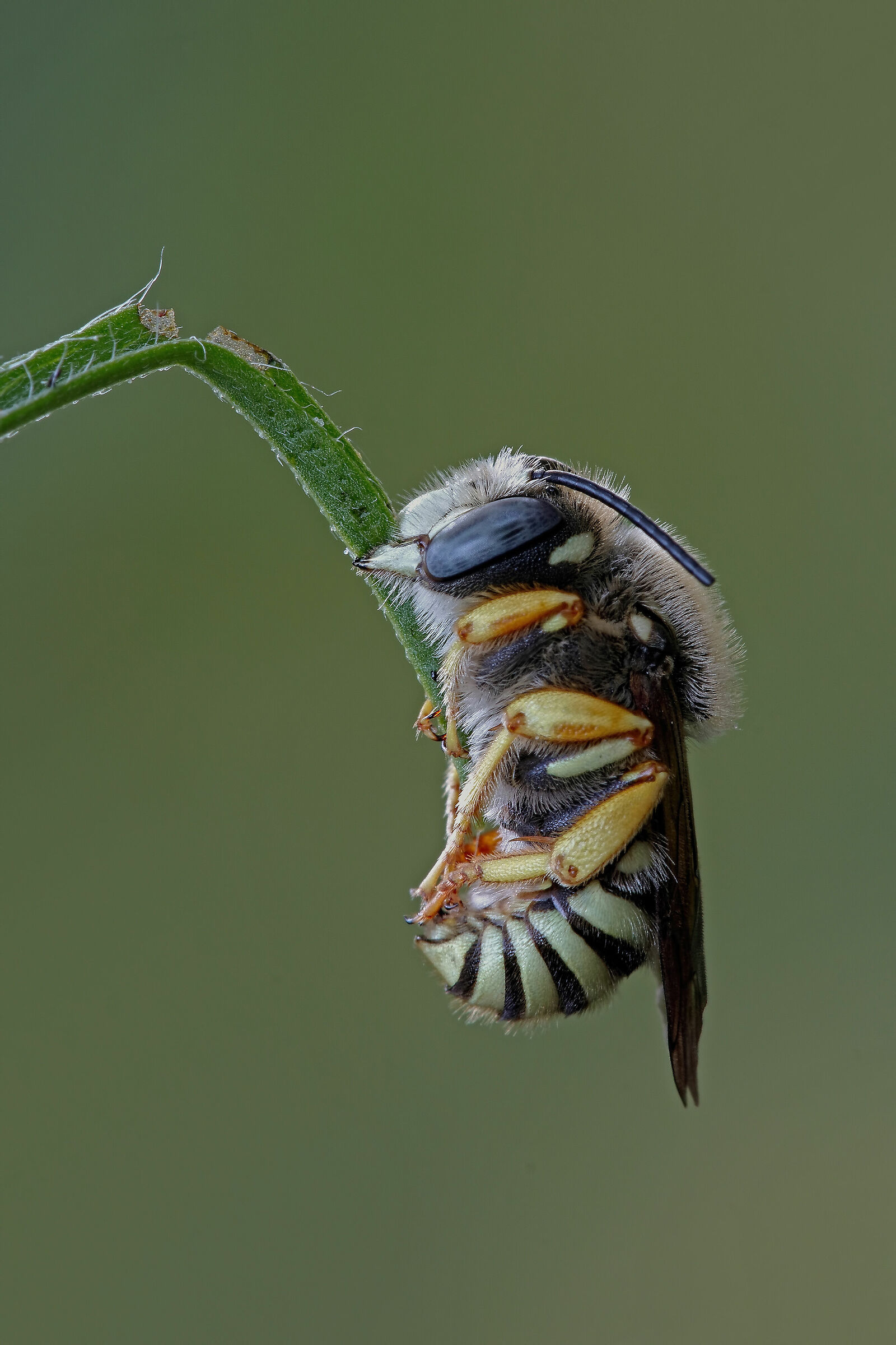 Resist.... don't give up !!!