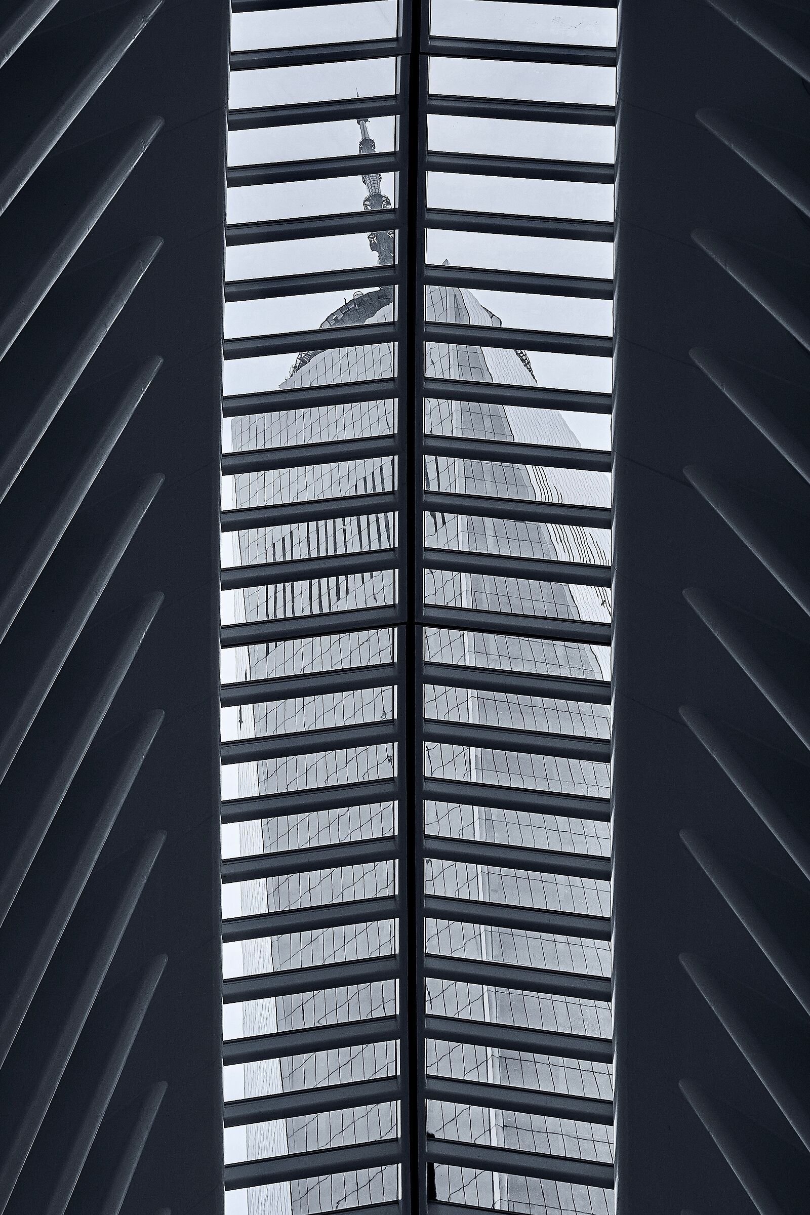 Remembrance of a Drama 1