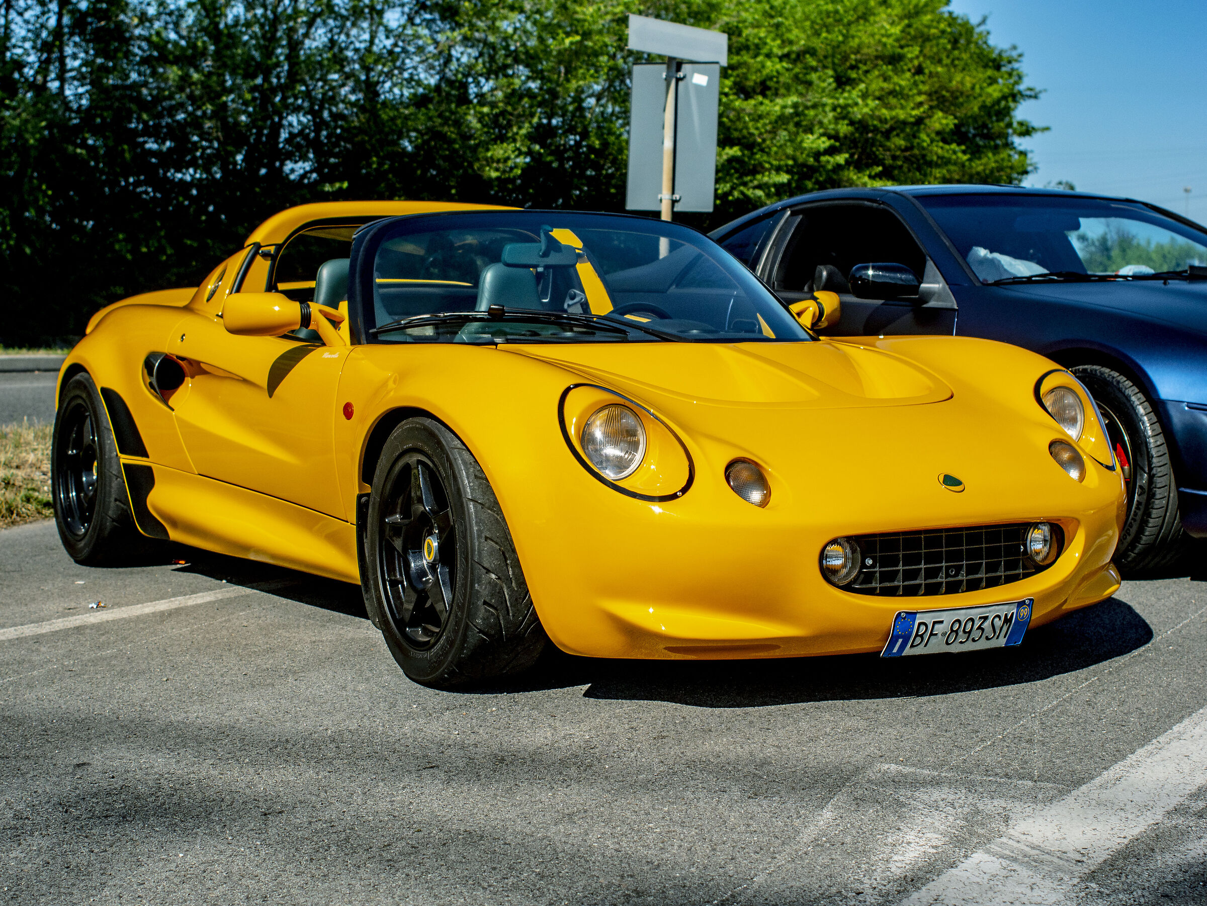 Lotus 1