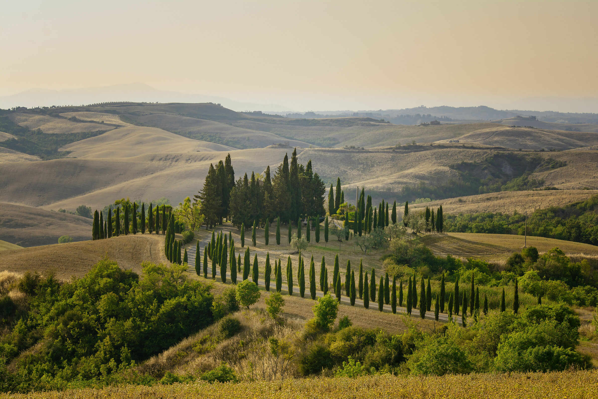 Podere Rufilli-Volterra