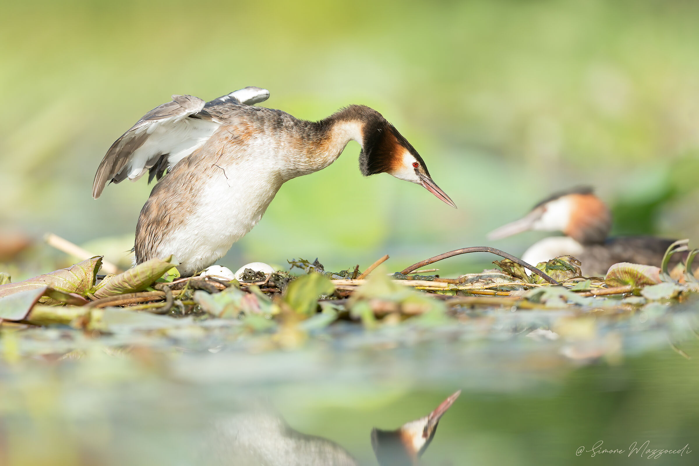 Ginnastica mattutina