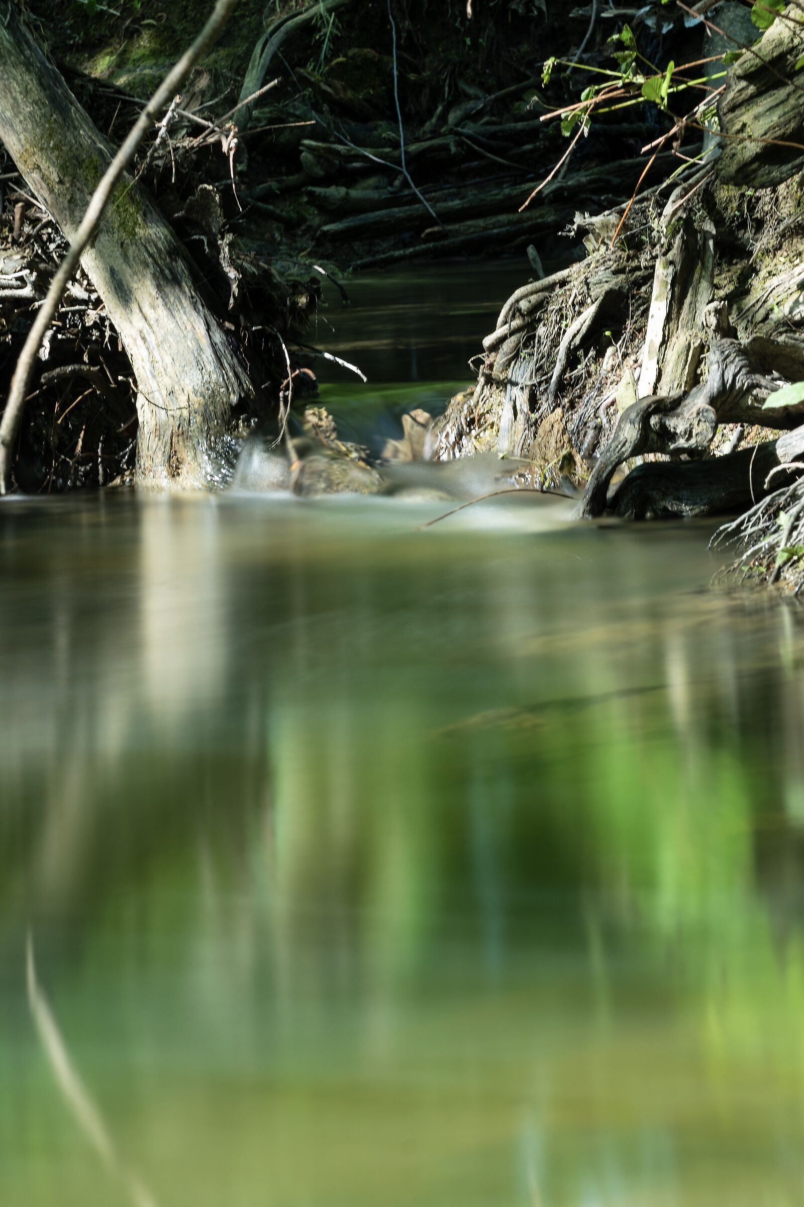 Long brook exposure