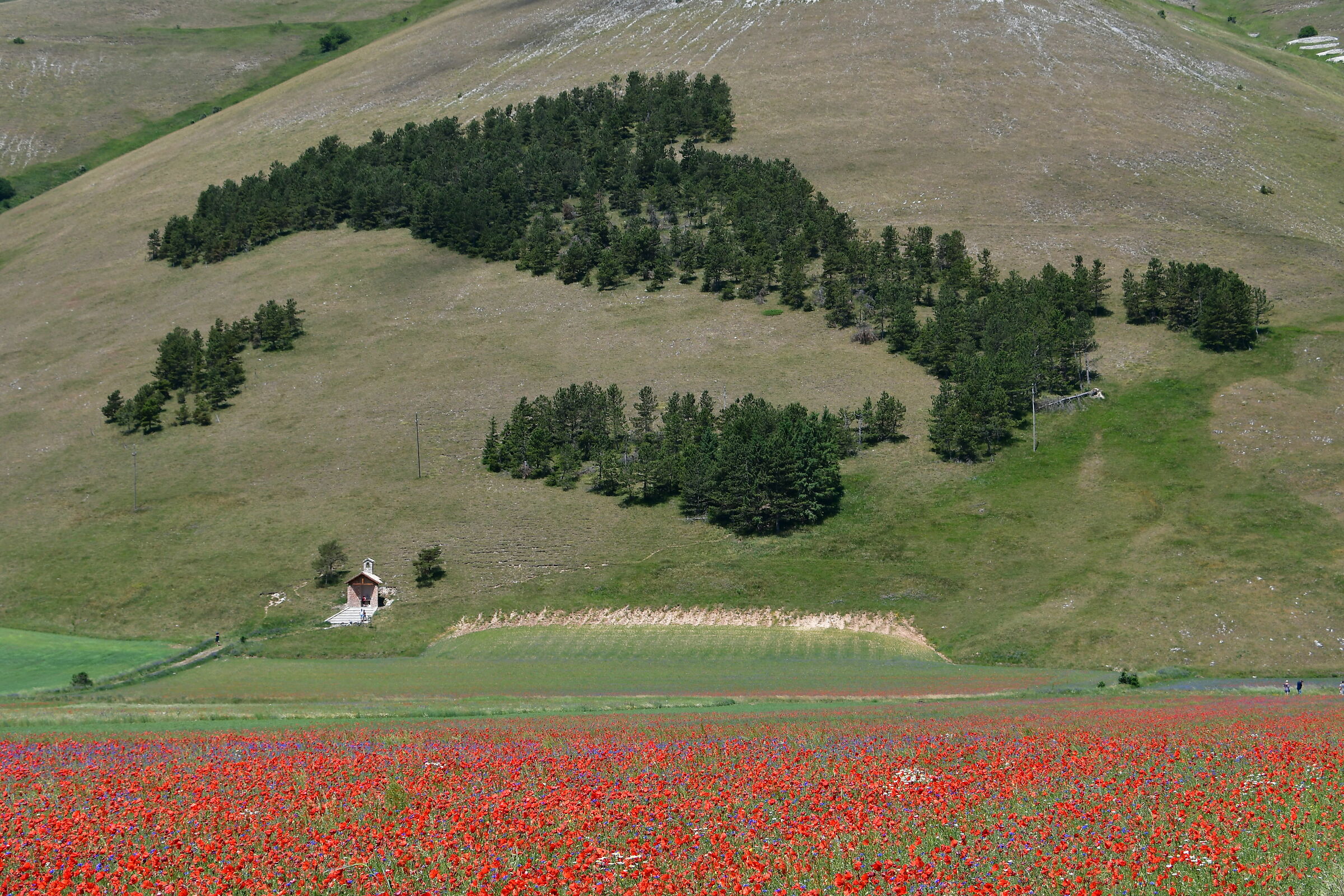 Italy in miniature (Castelluccio di Norcia)