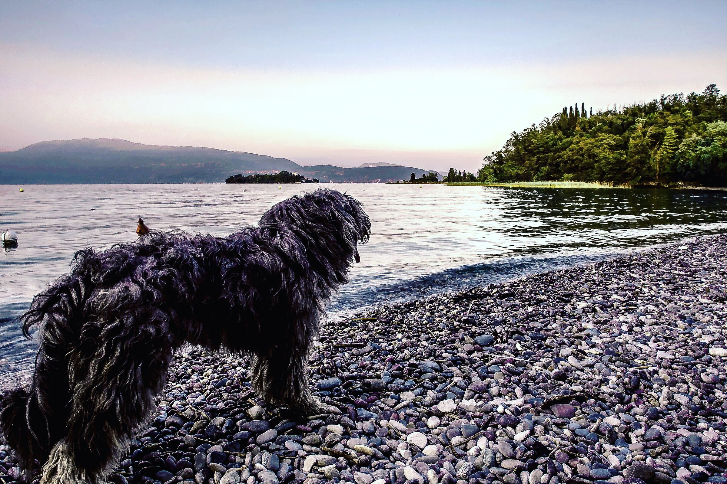 In the company of a friend can