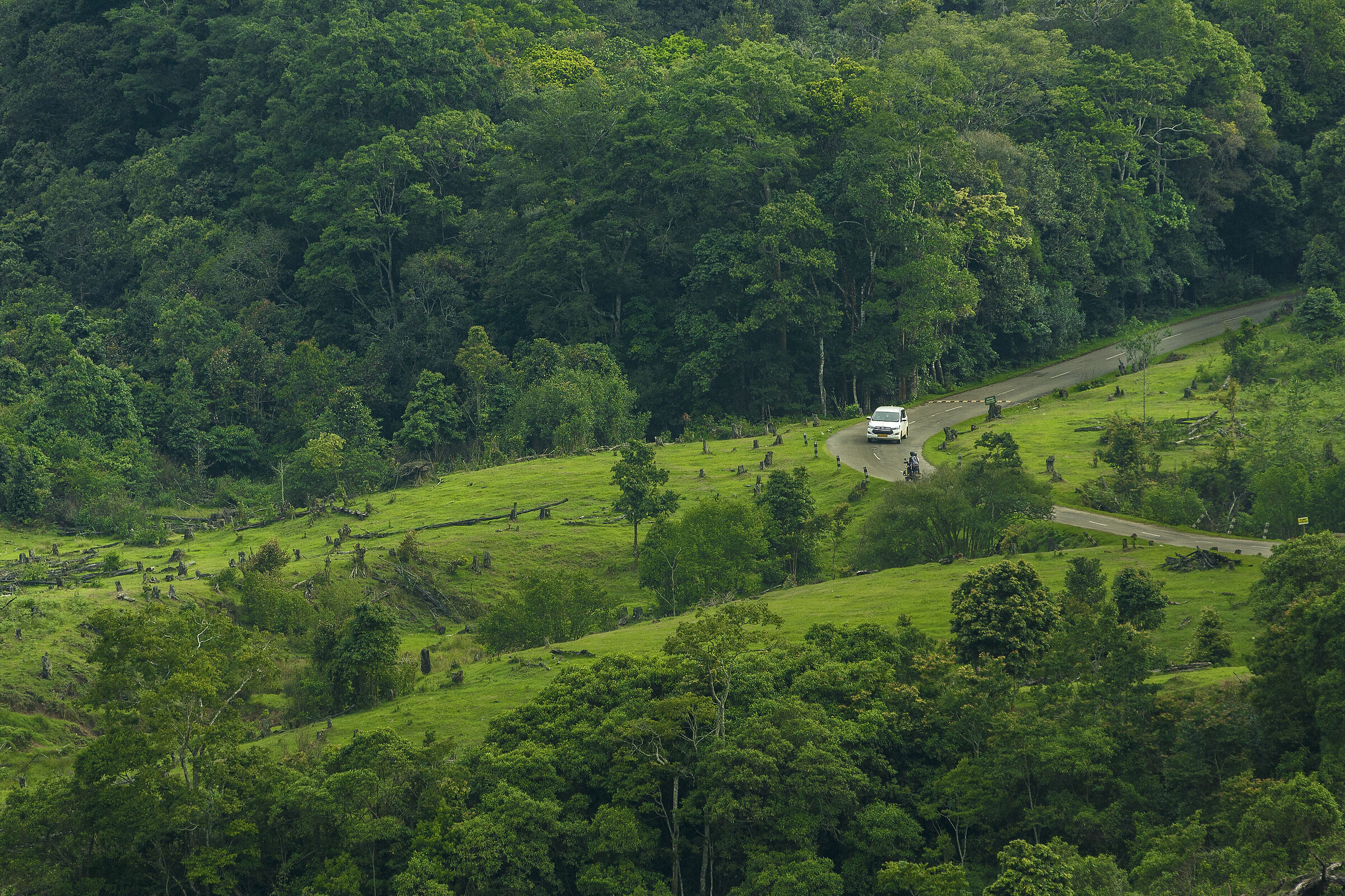 the refreshing drive
