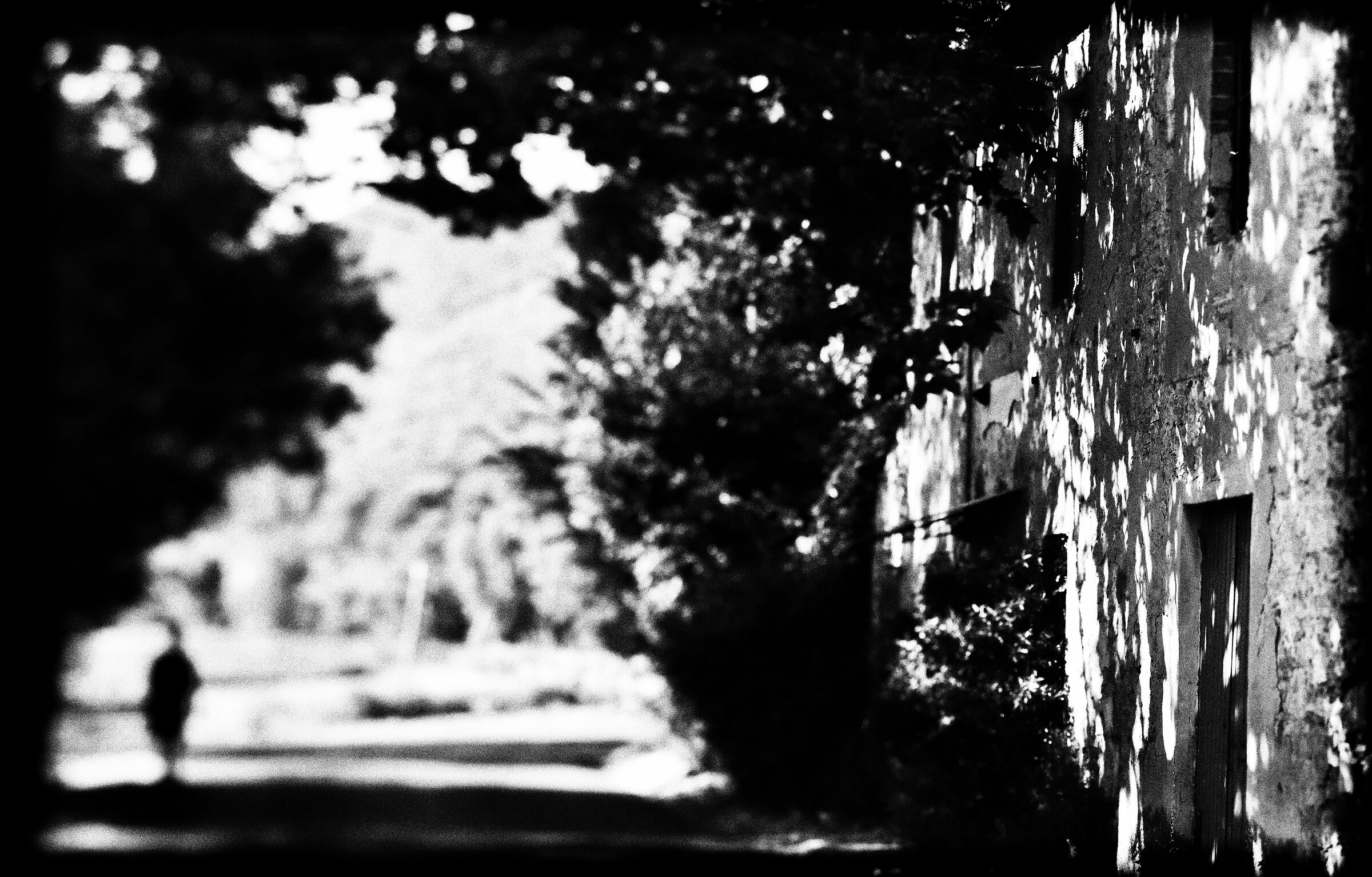 "To see the last survivor fall"