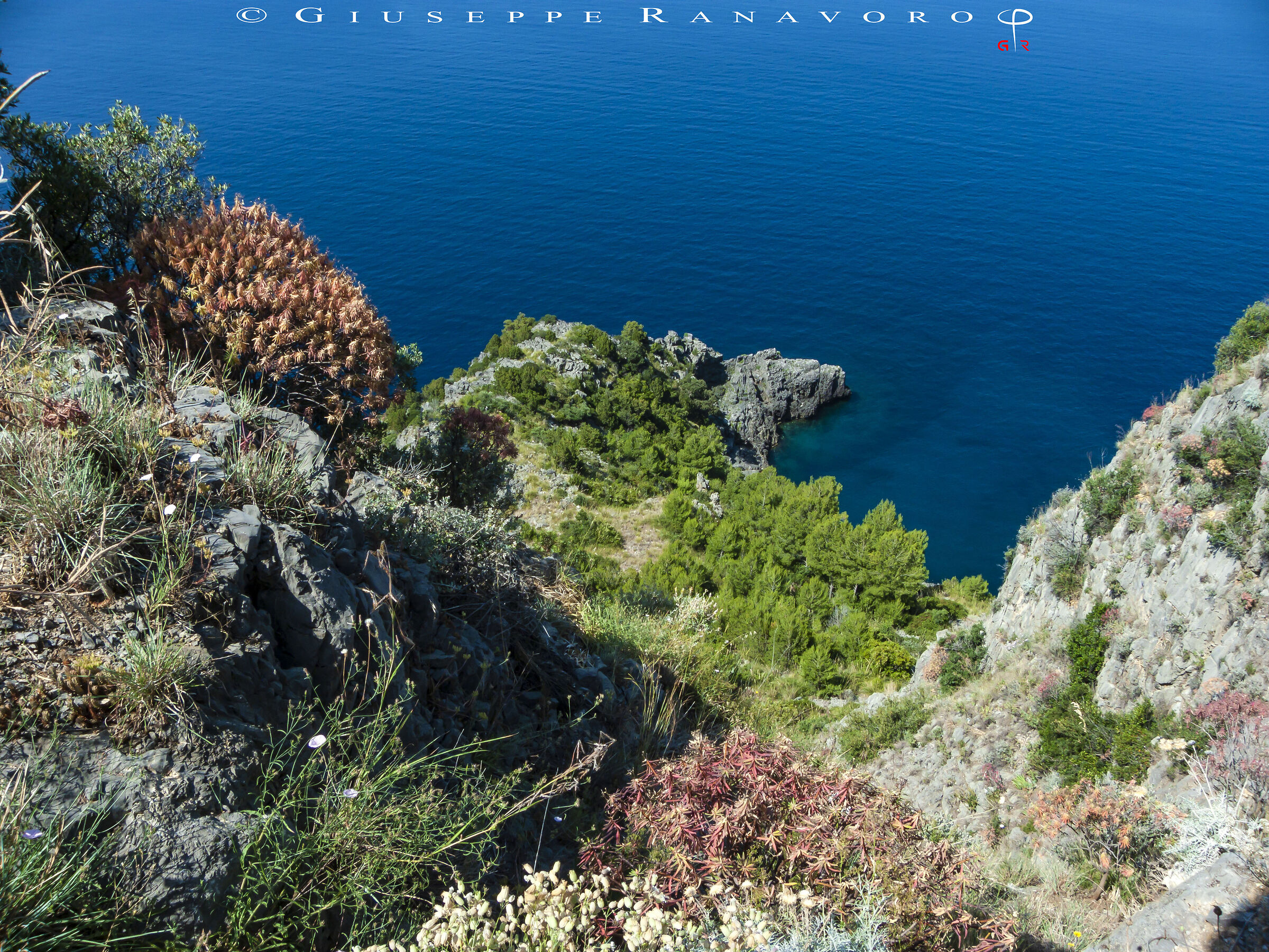 Tyrrhenian Coast -Cilento