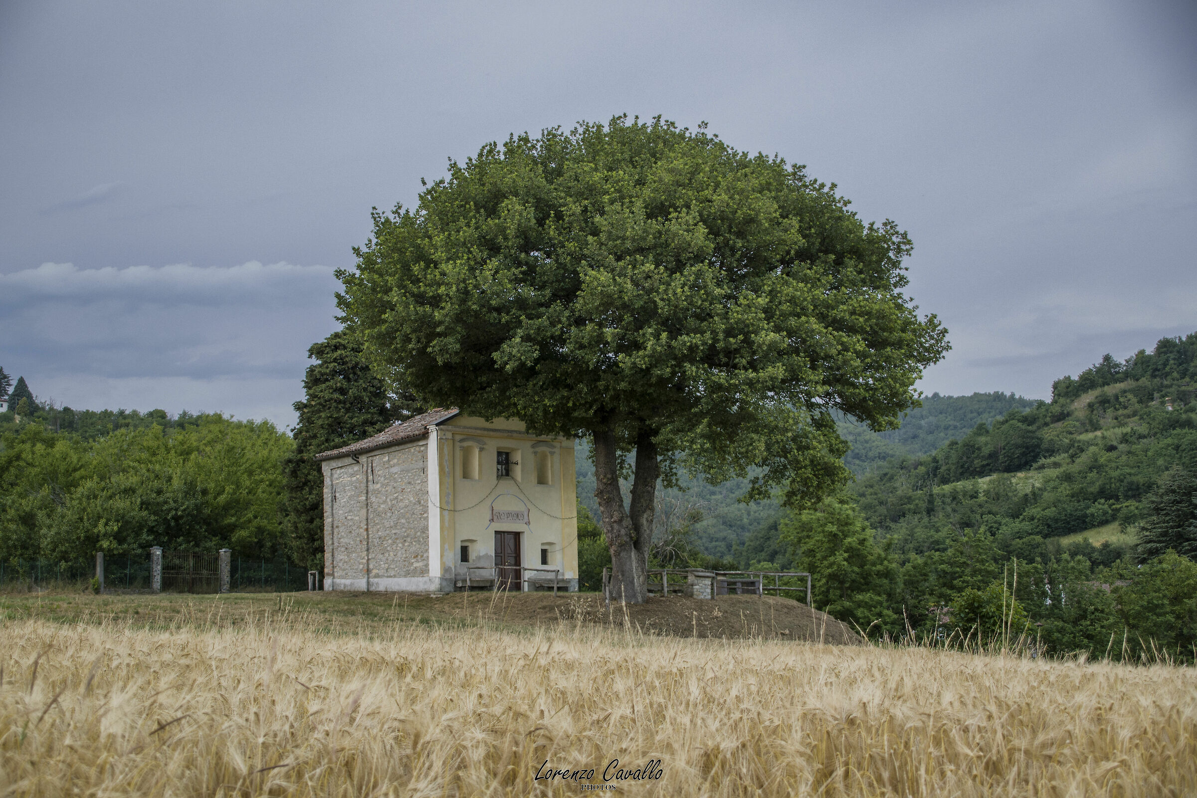 The Church of St. Paul