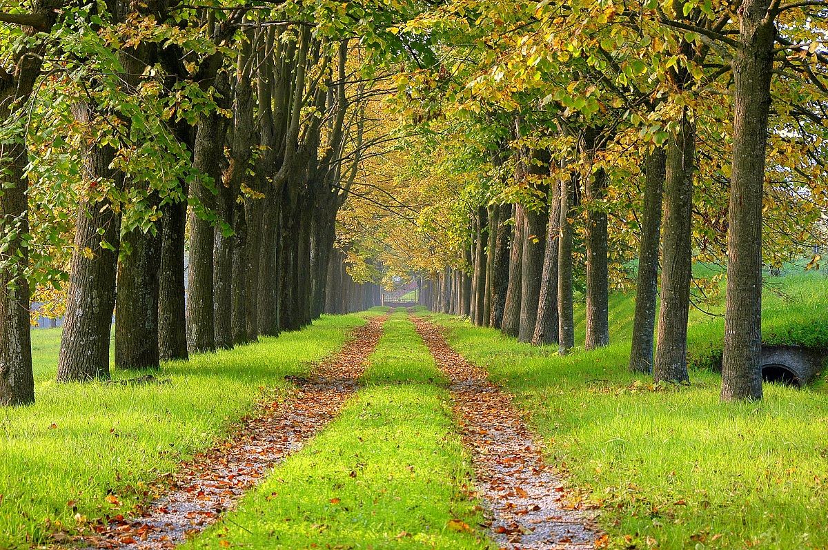 La lunga strada della vita