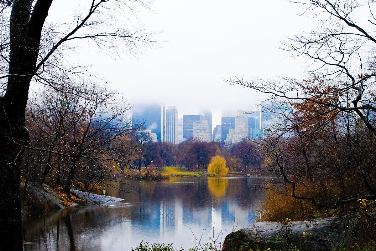 Reflections on Central Park