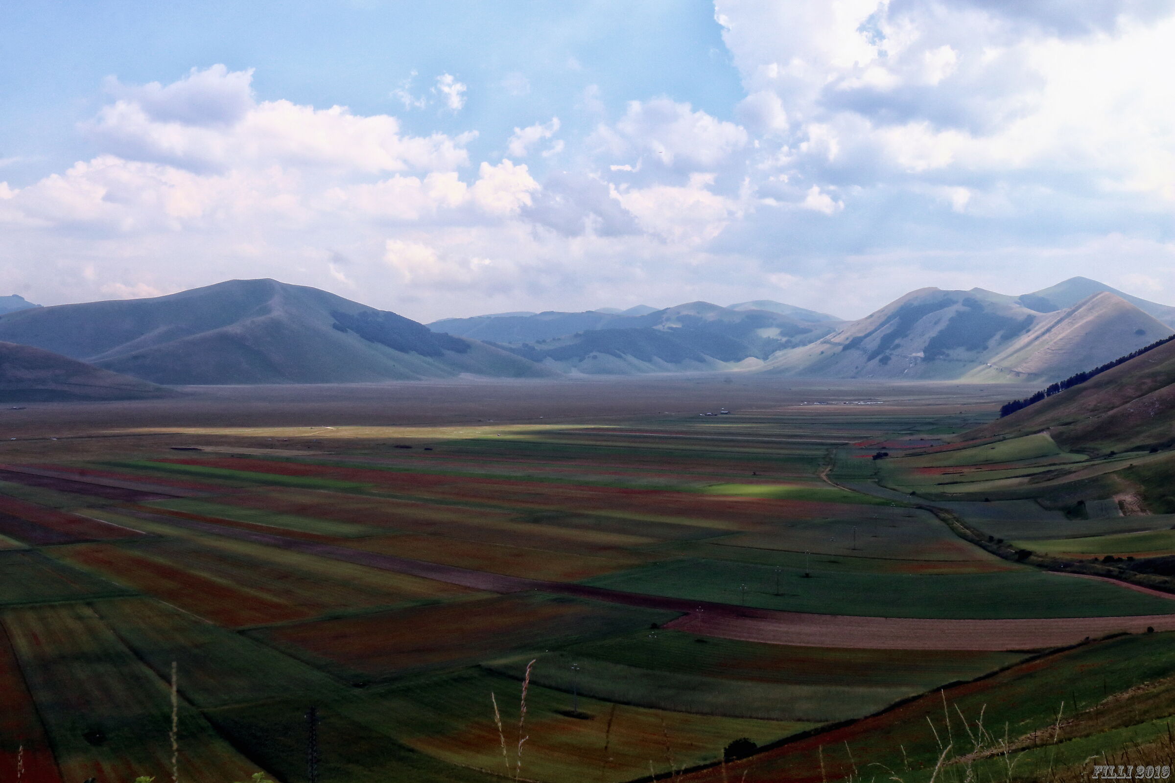 Flowering in Castelluccio di Norcia