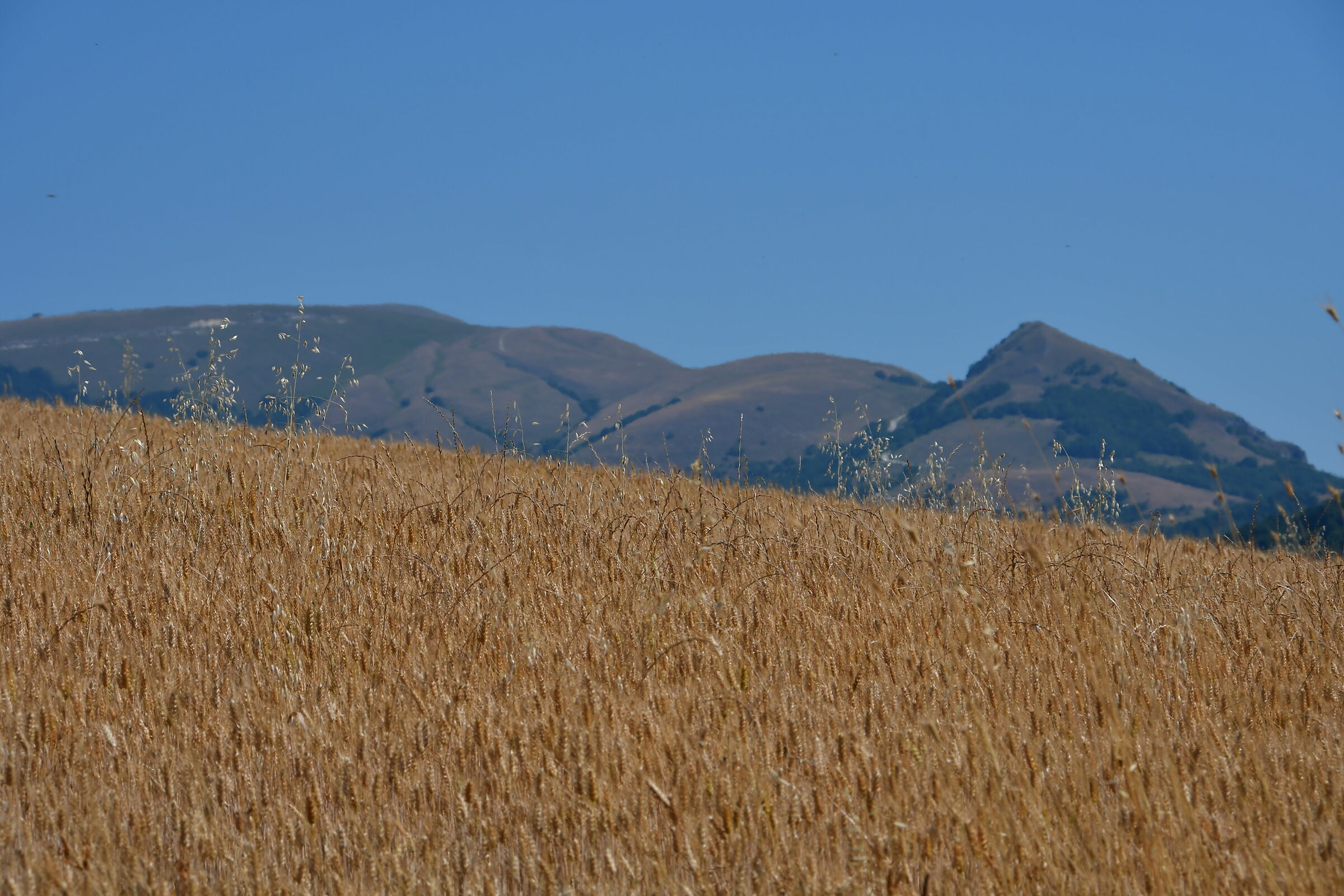 Umbria ""Monte Pennino""