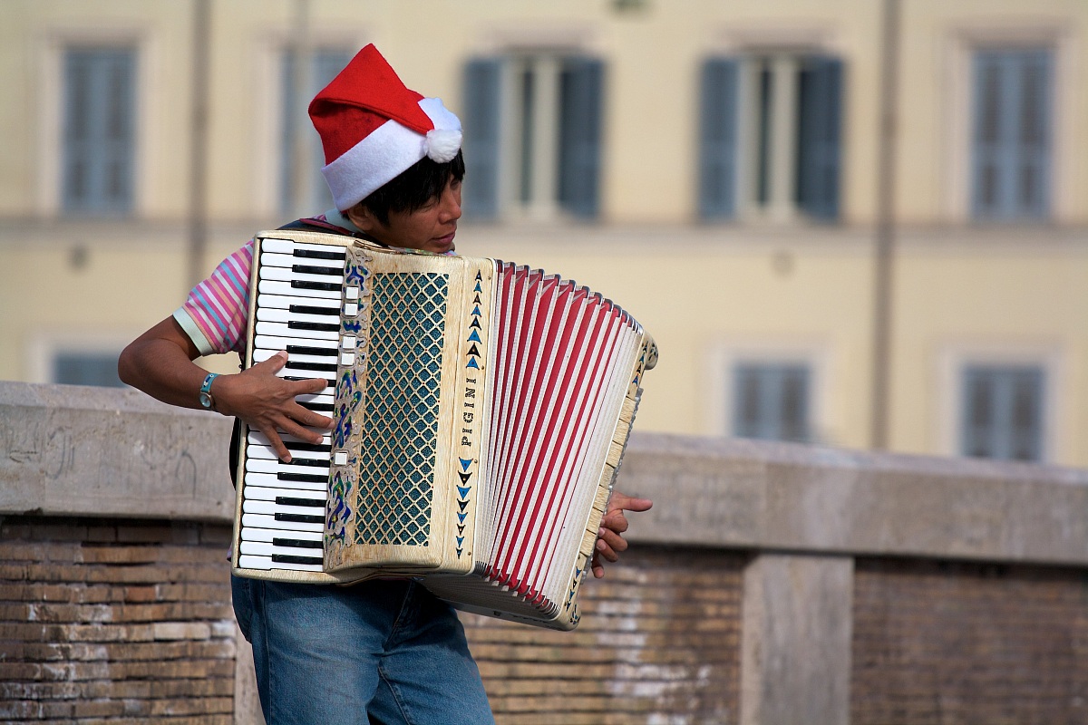 The accordion player - The accordion player