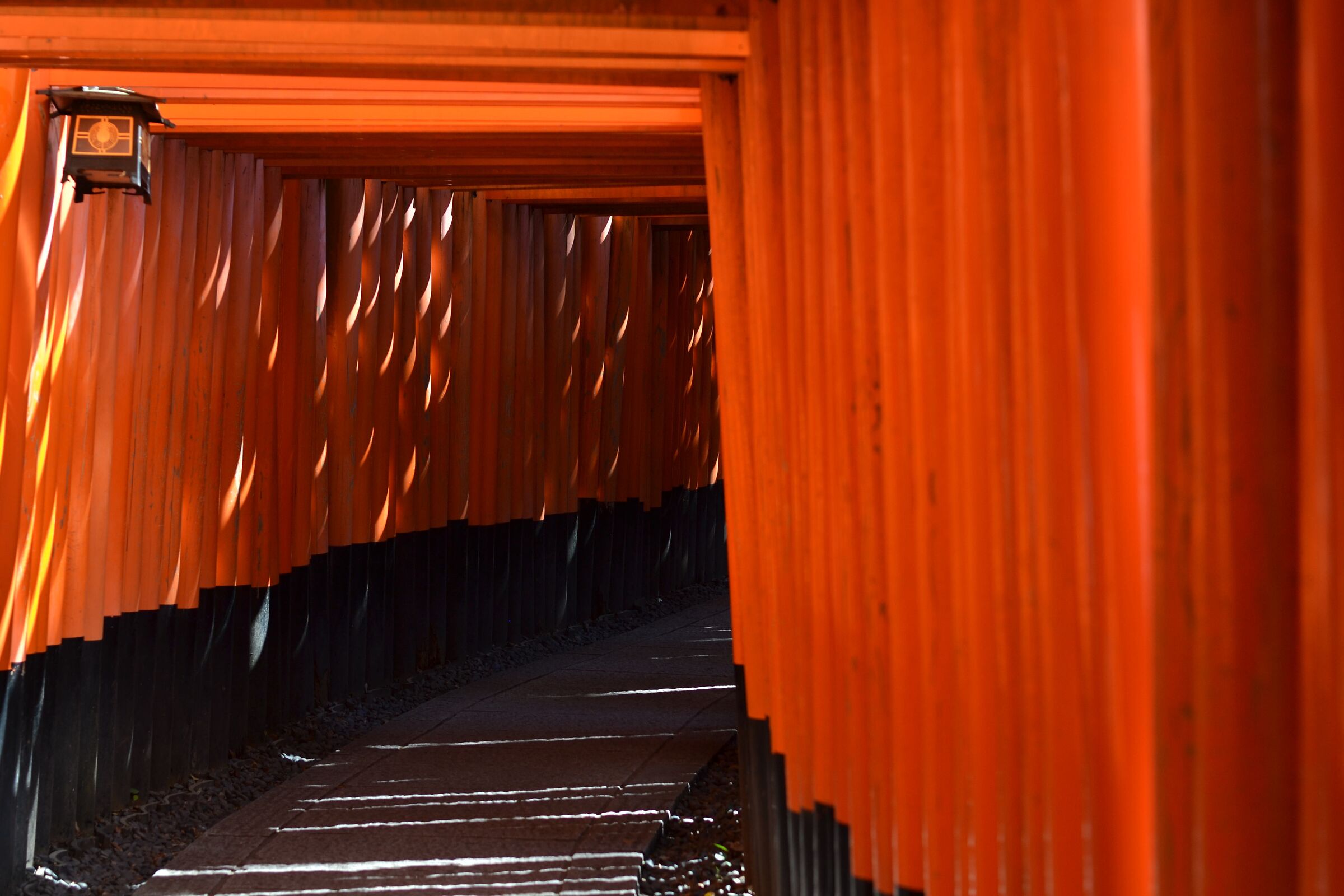 Fushimi inari