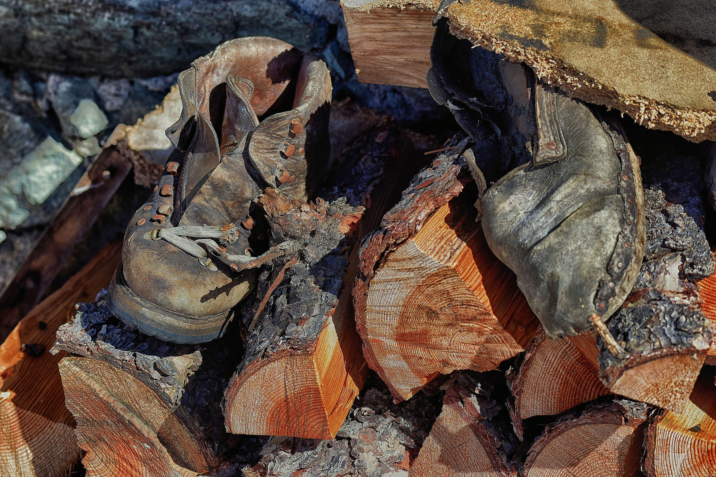 A Cheneil for my friend Fujifan