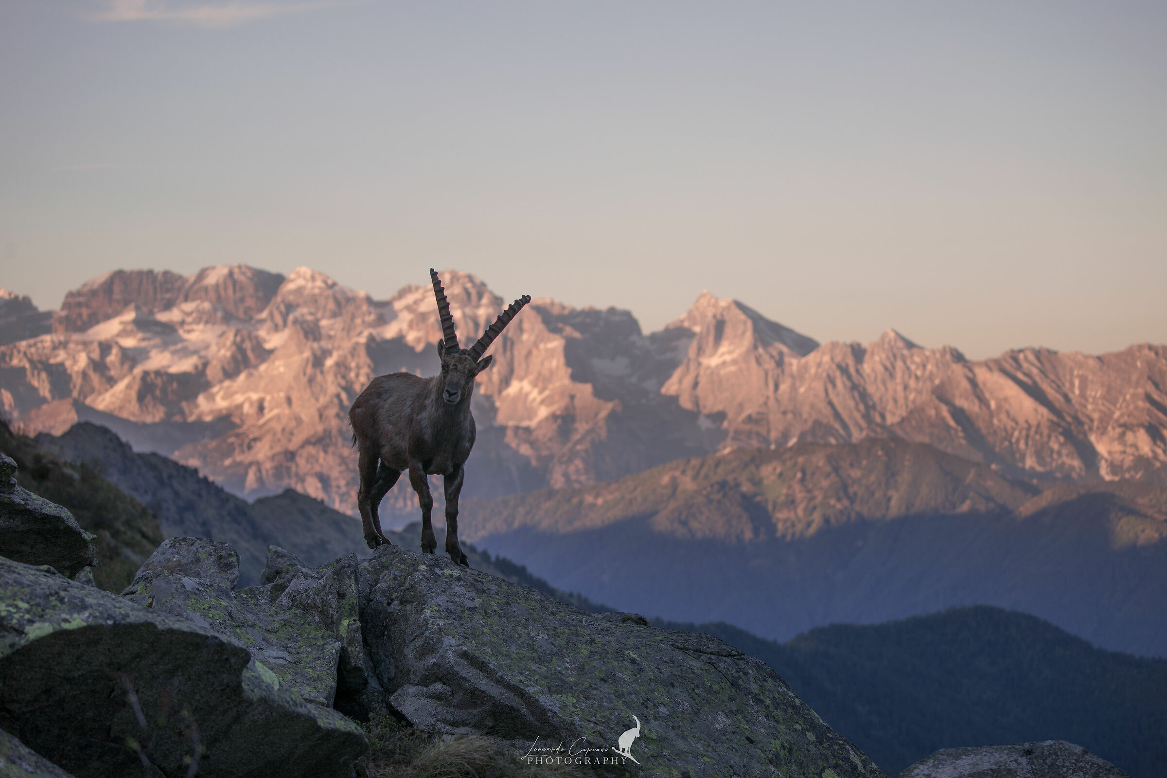 Brenta / Snset on Brenta
