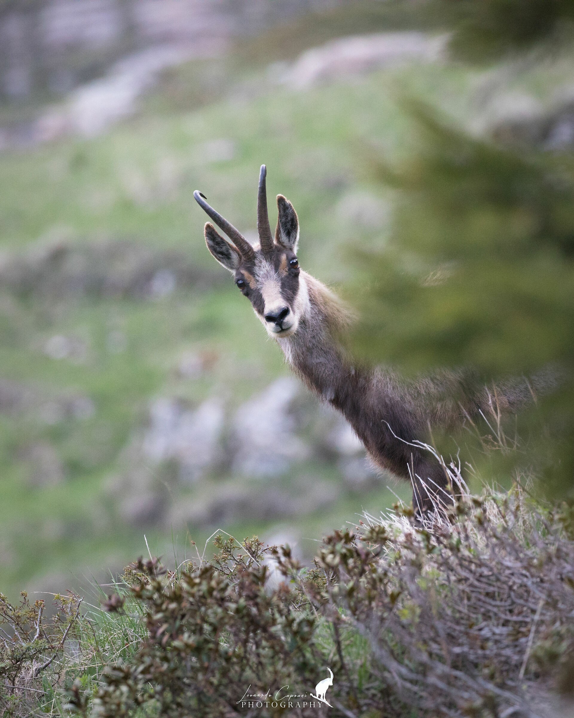 Close encounters / Close encounters