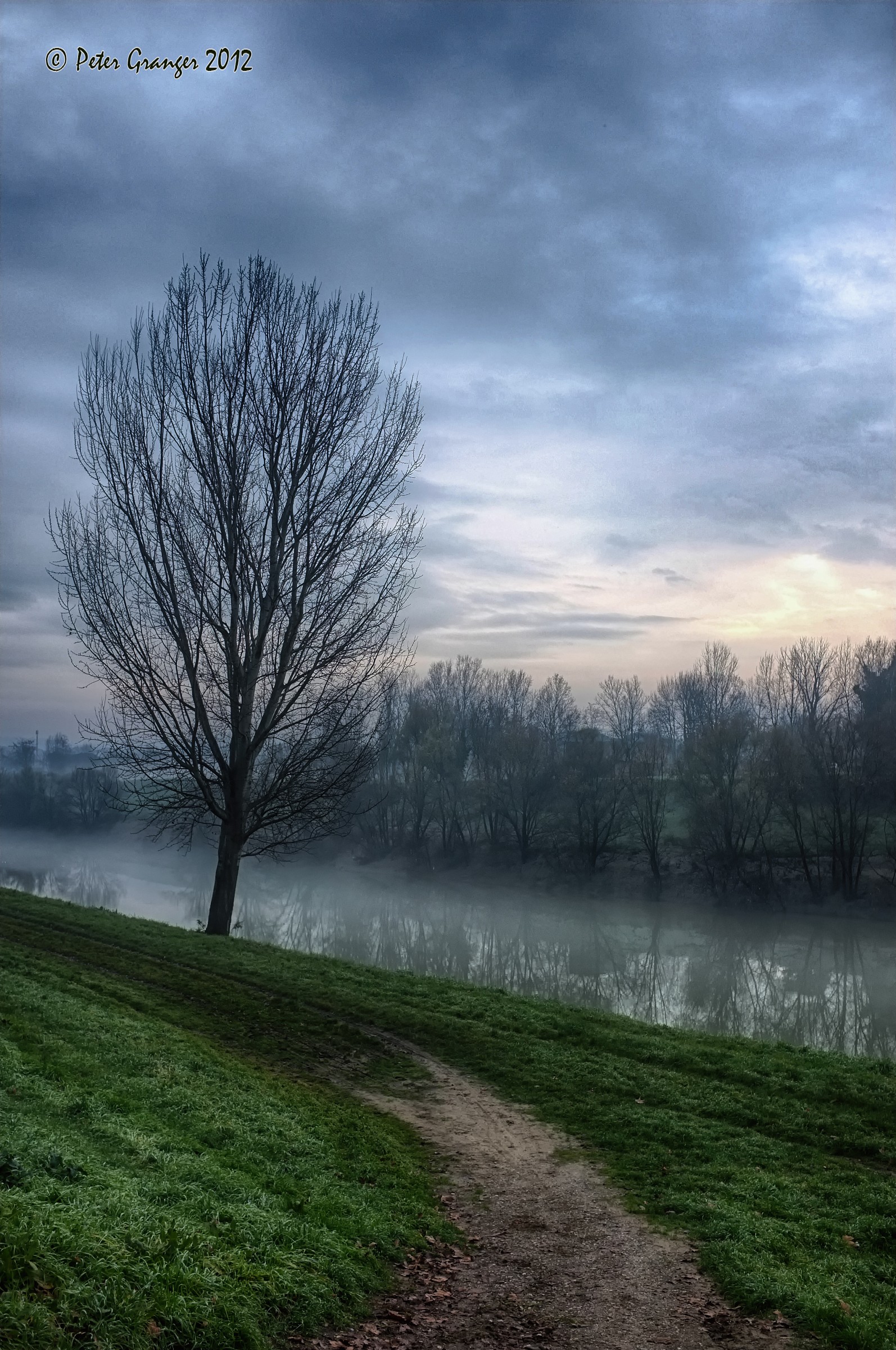 on the banks of Arno