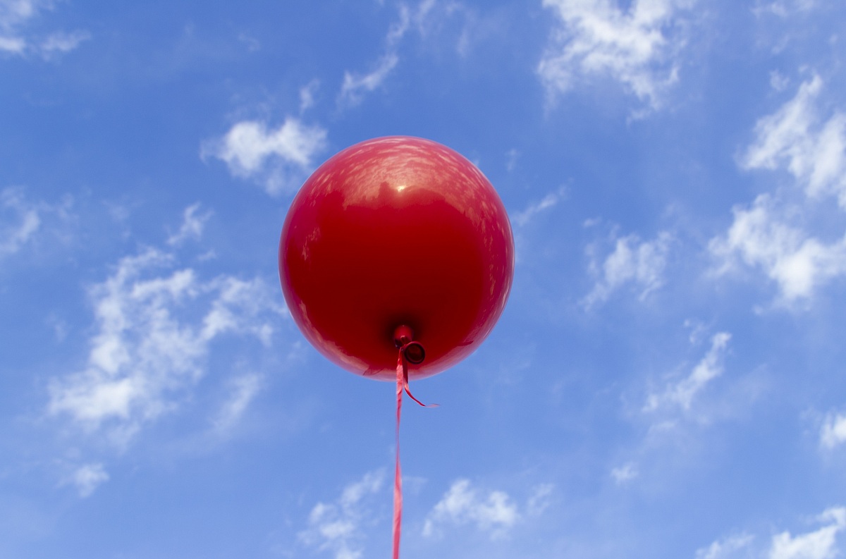 Fly ... In the blue painted blue