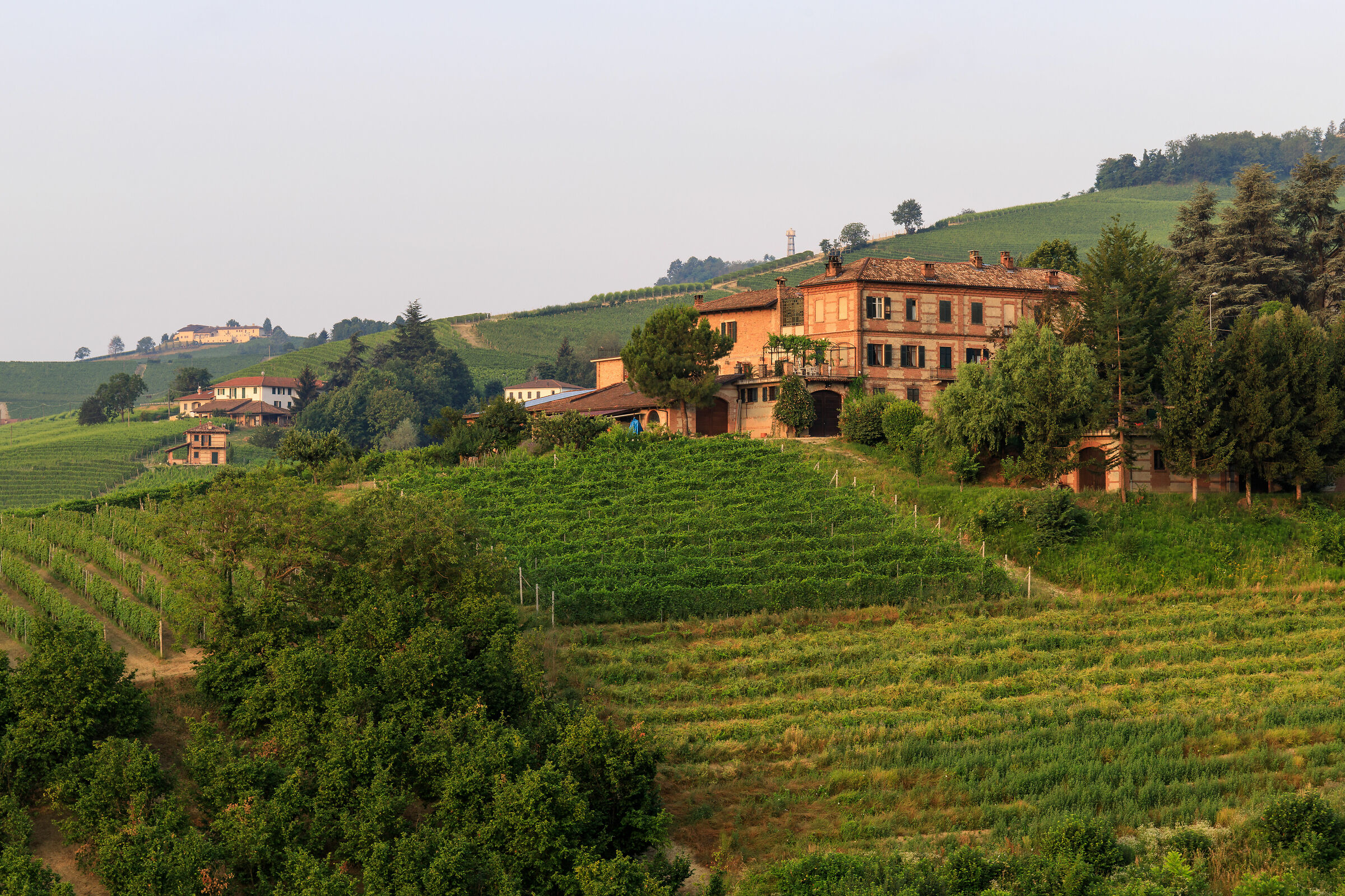 Barolo