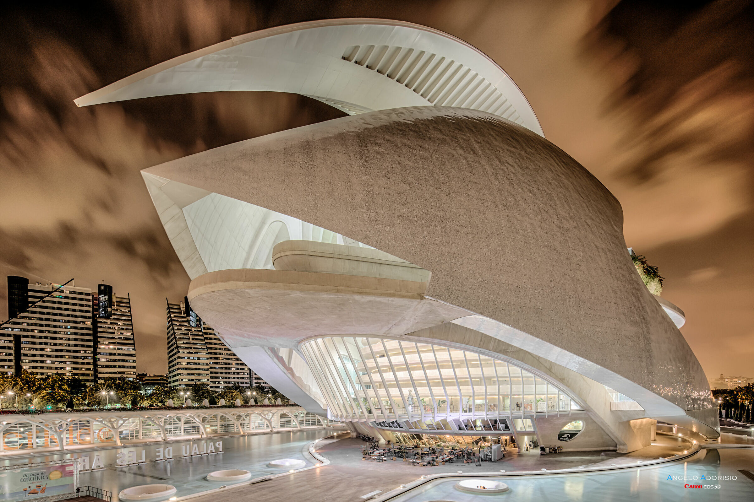 Valencia - Palace of the Arts