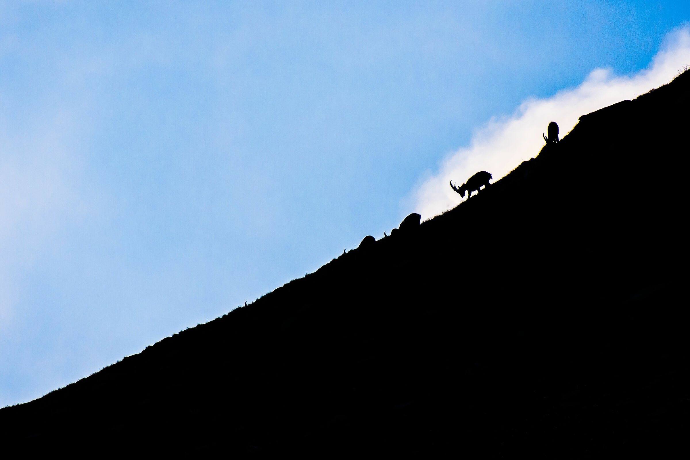 Waiting for the cloud