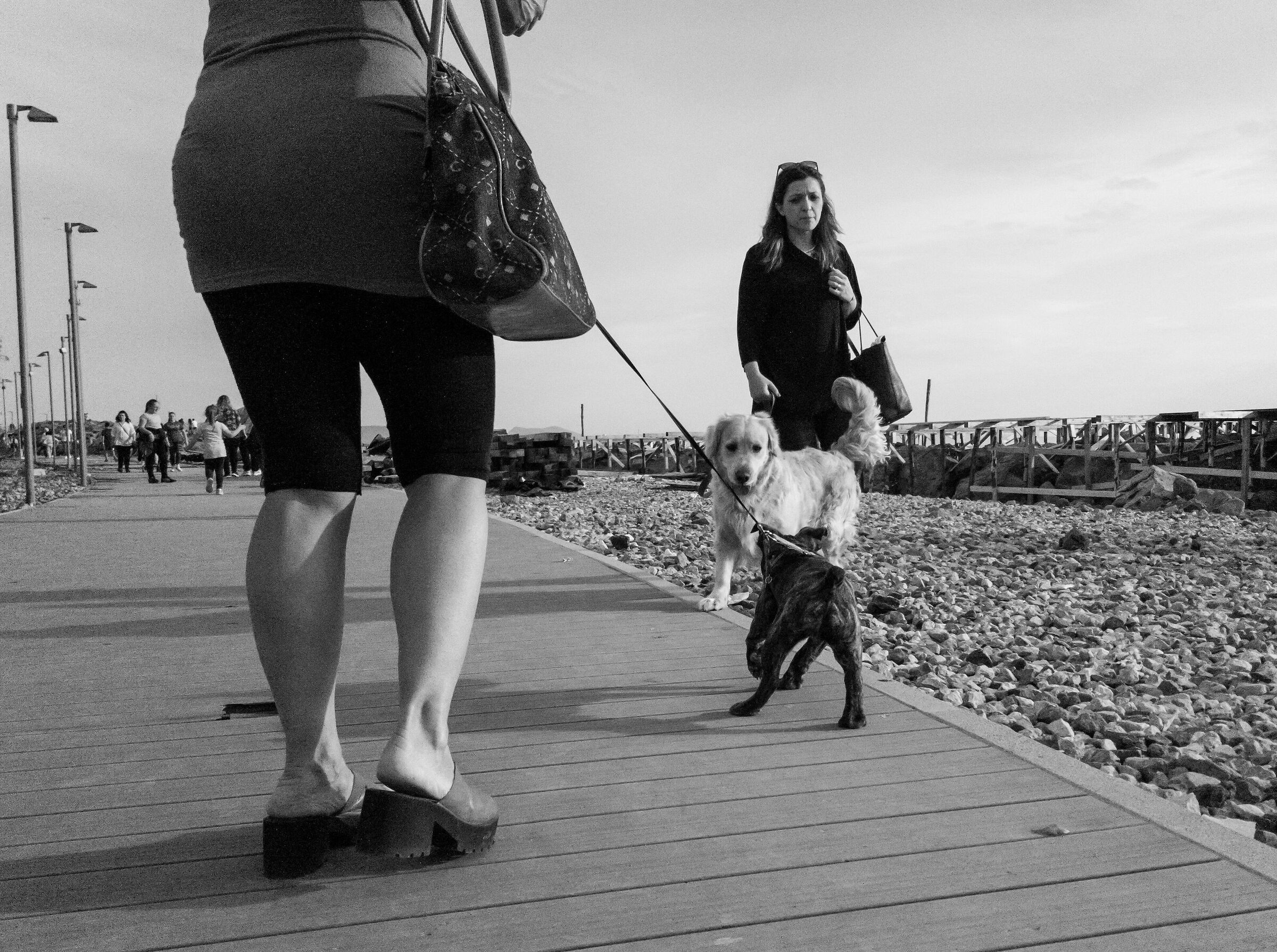 Doggy Love, (D-Love)