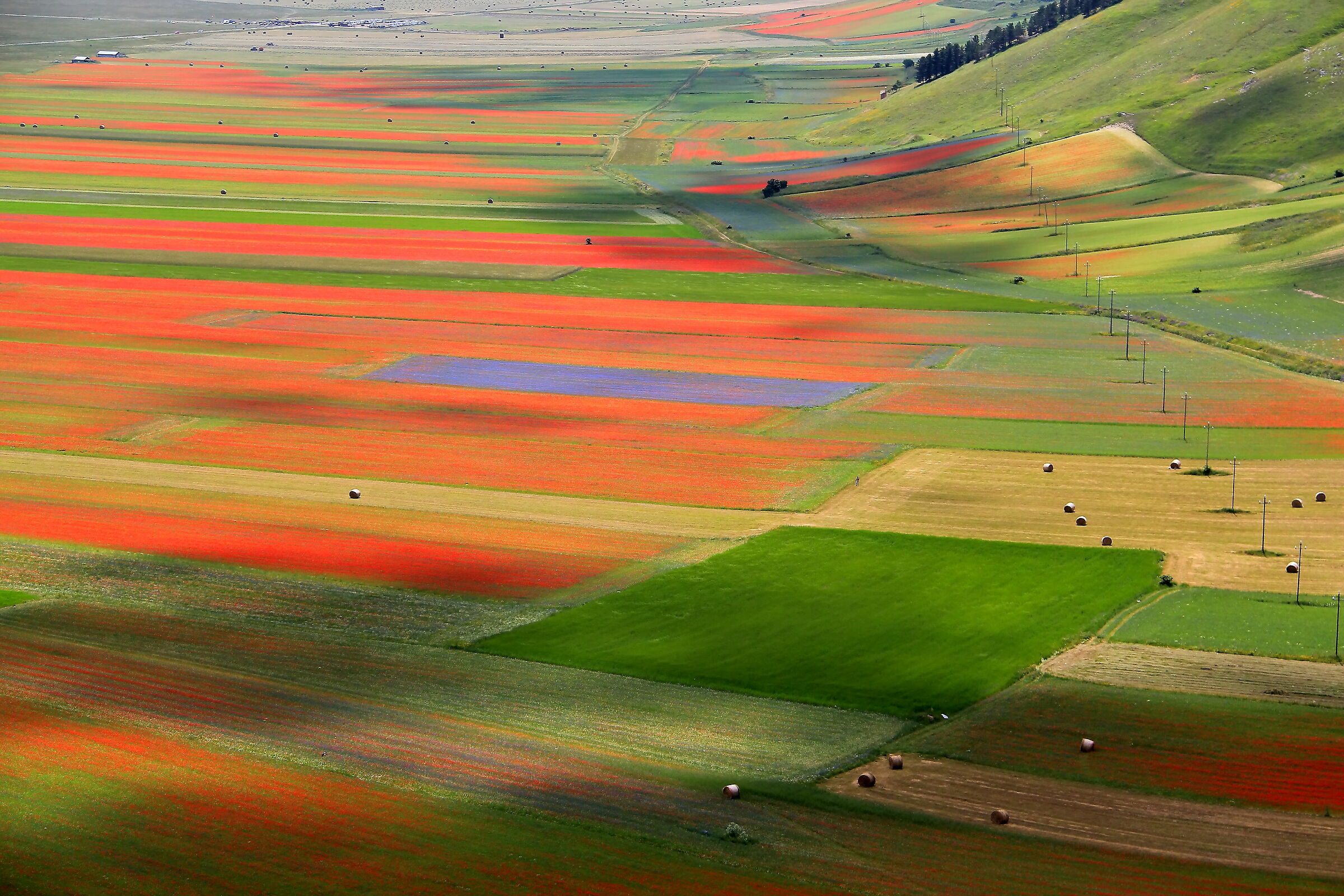La Piana di Castelluccio