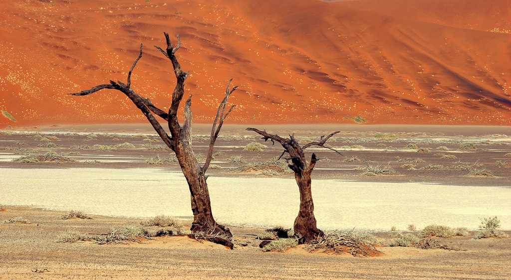 Namib Desert