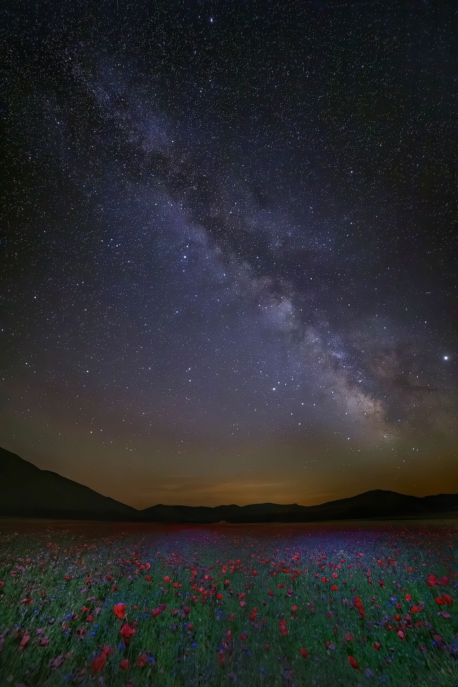 Milky Way and flowering
