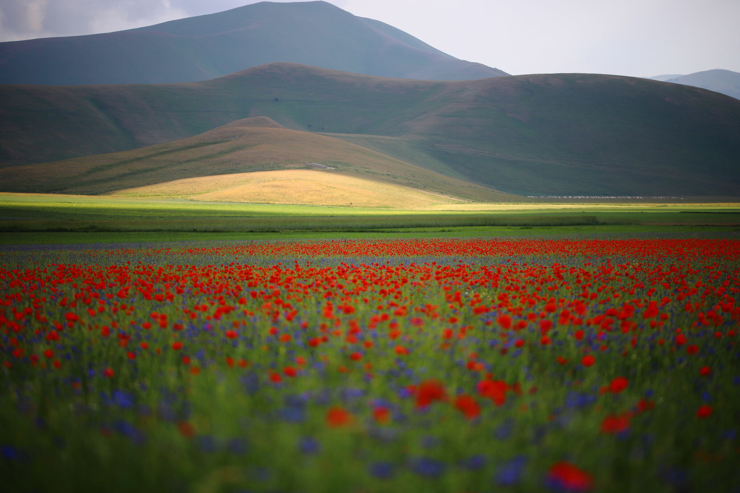 Castelluccio 2