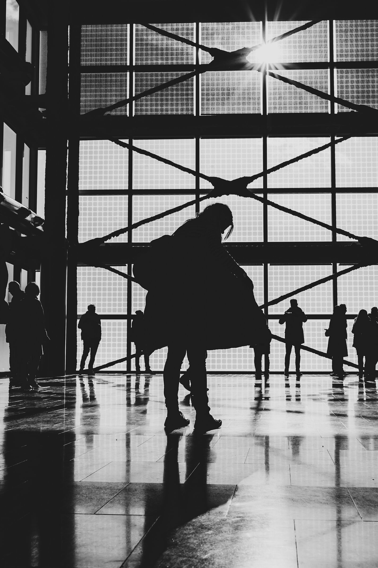 Silhouette at the Belvedere