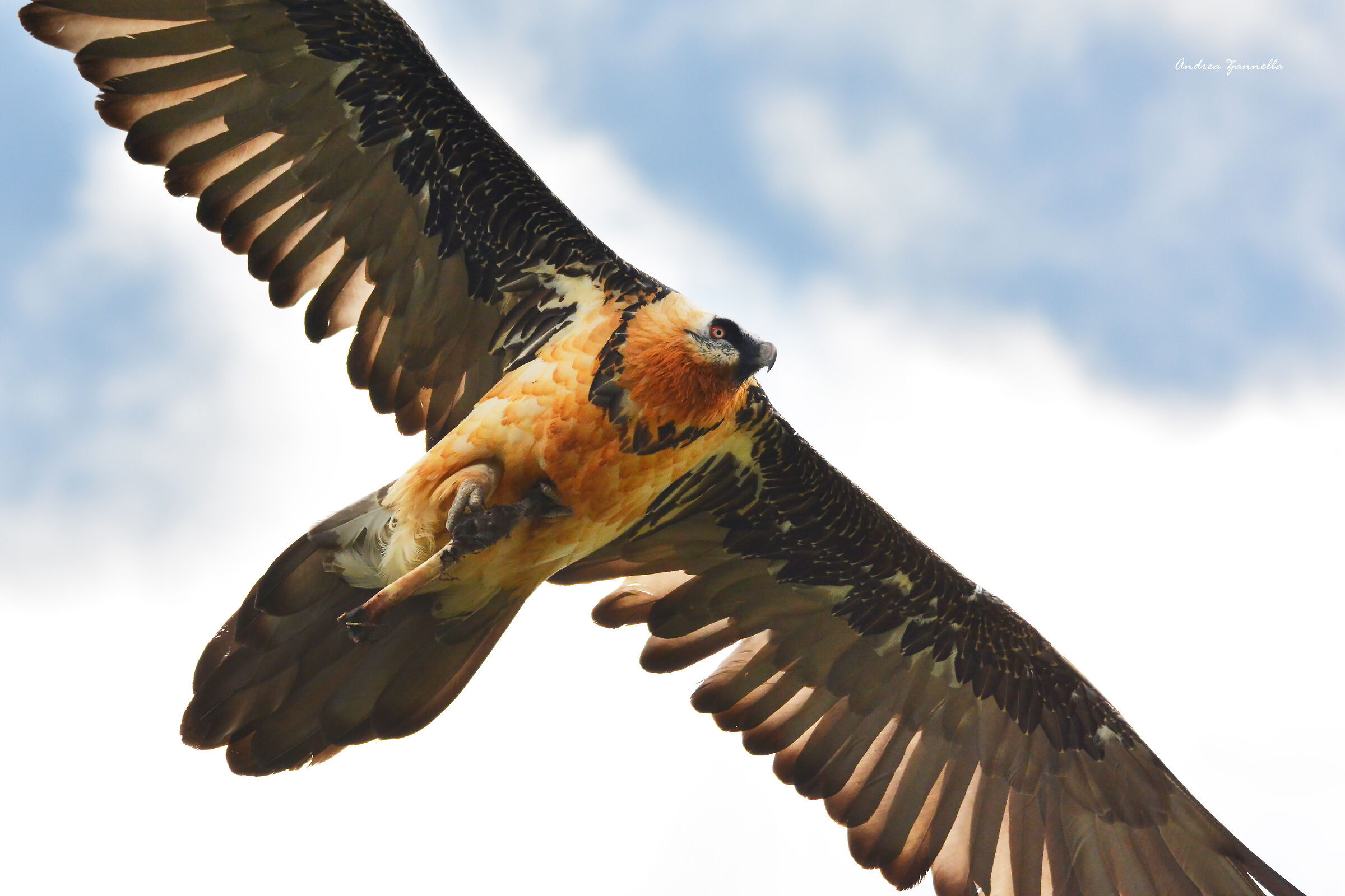 Someone found lunch!