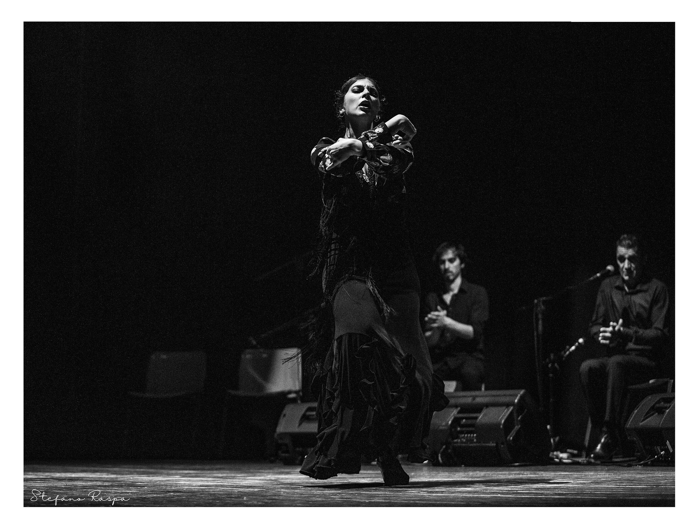 Luz y Sombra, flamenco