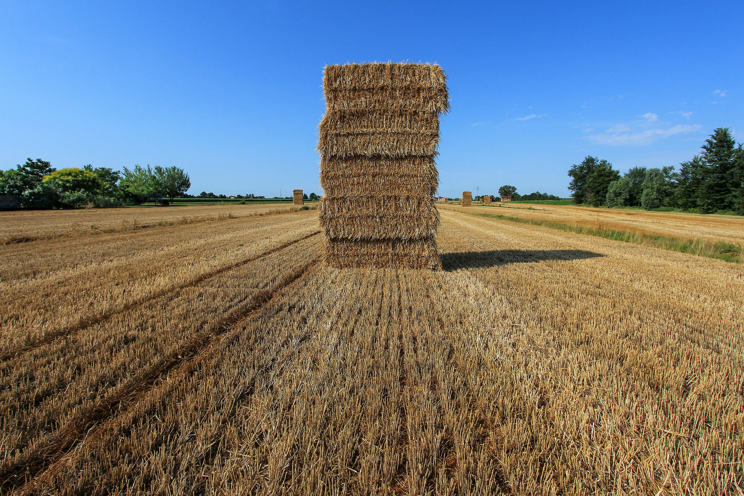 Straw and Hay Monolite