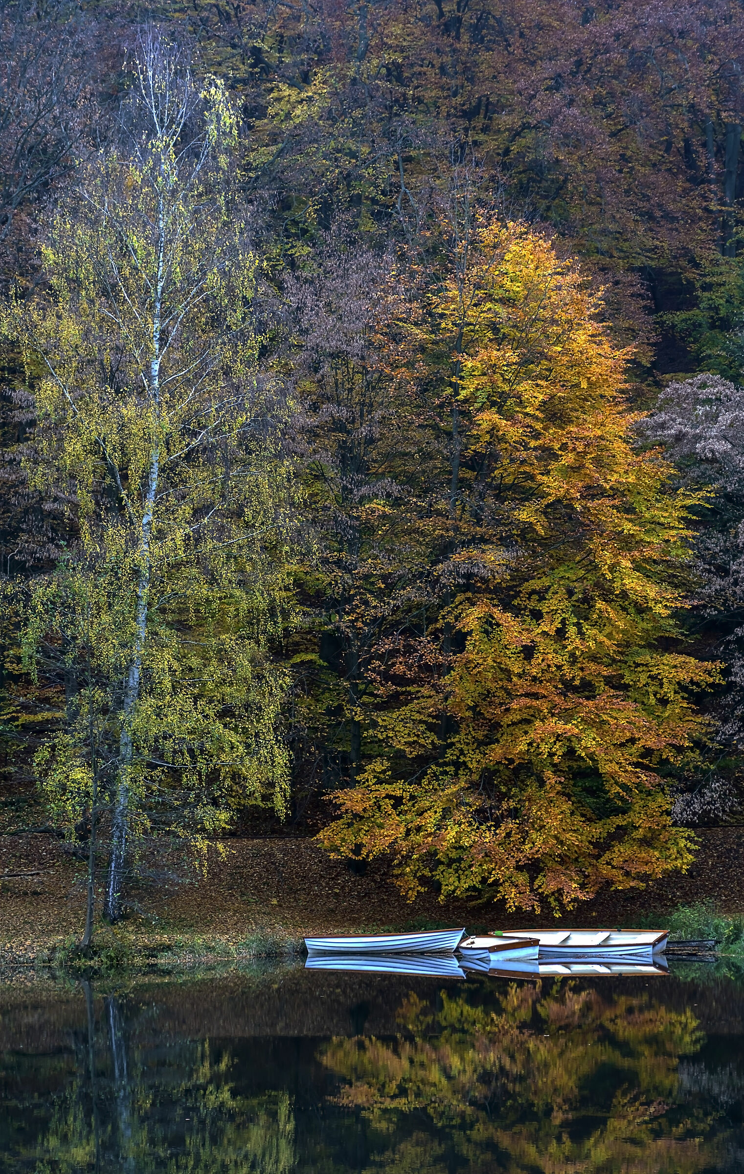 Three boats