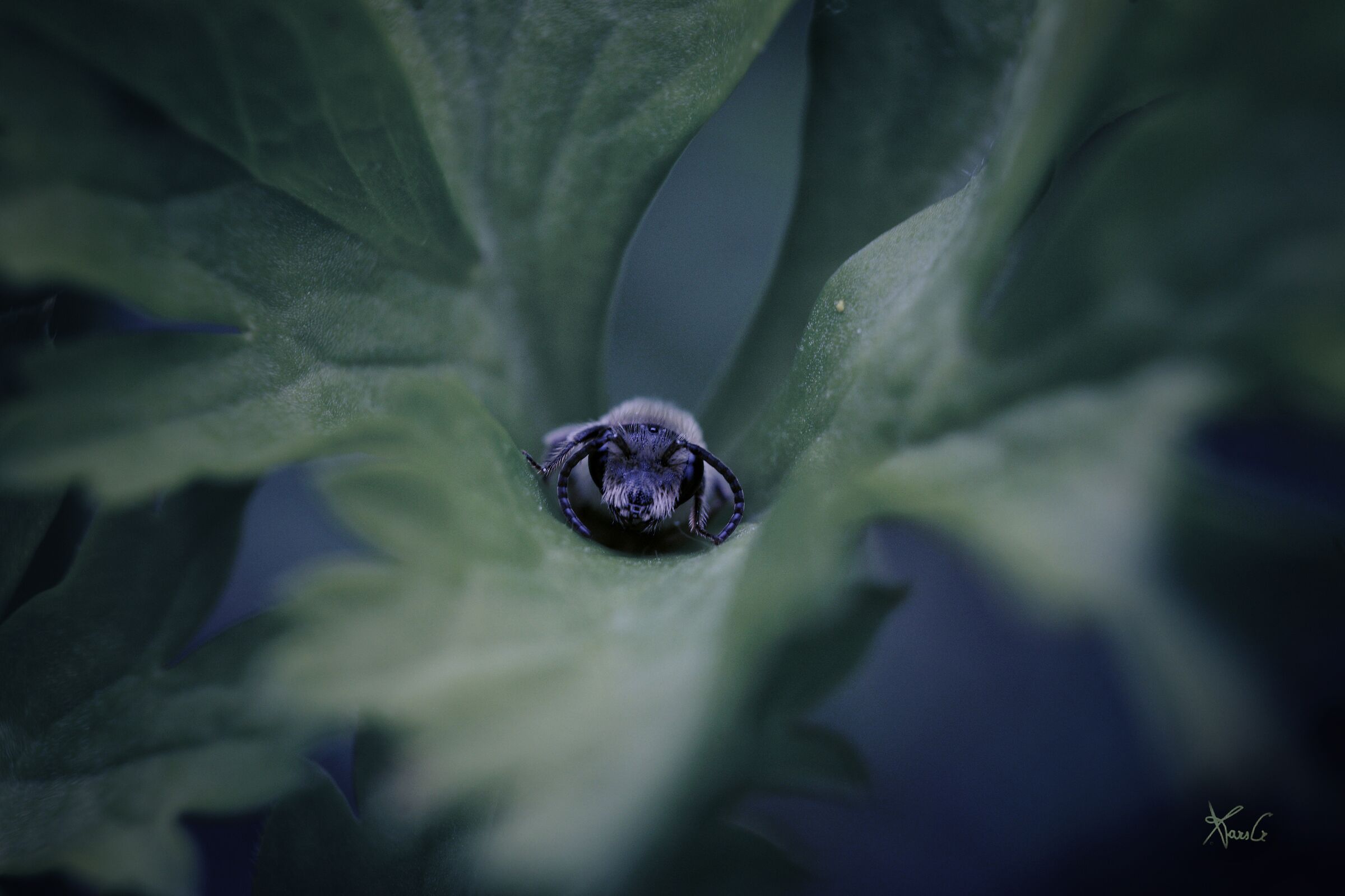 The storm is coming!