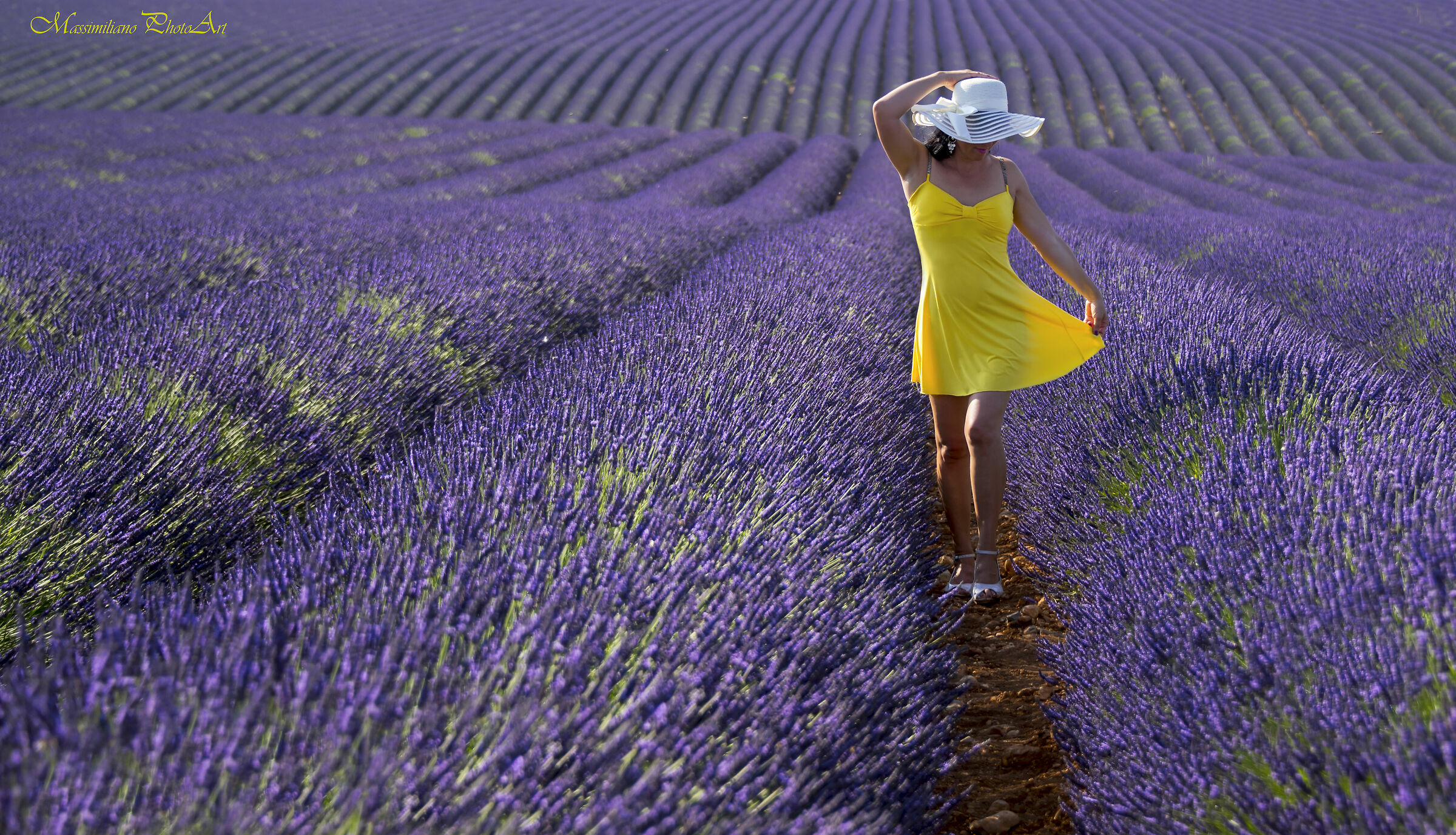 Gim in Provence II (Magazine in Cut)