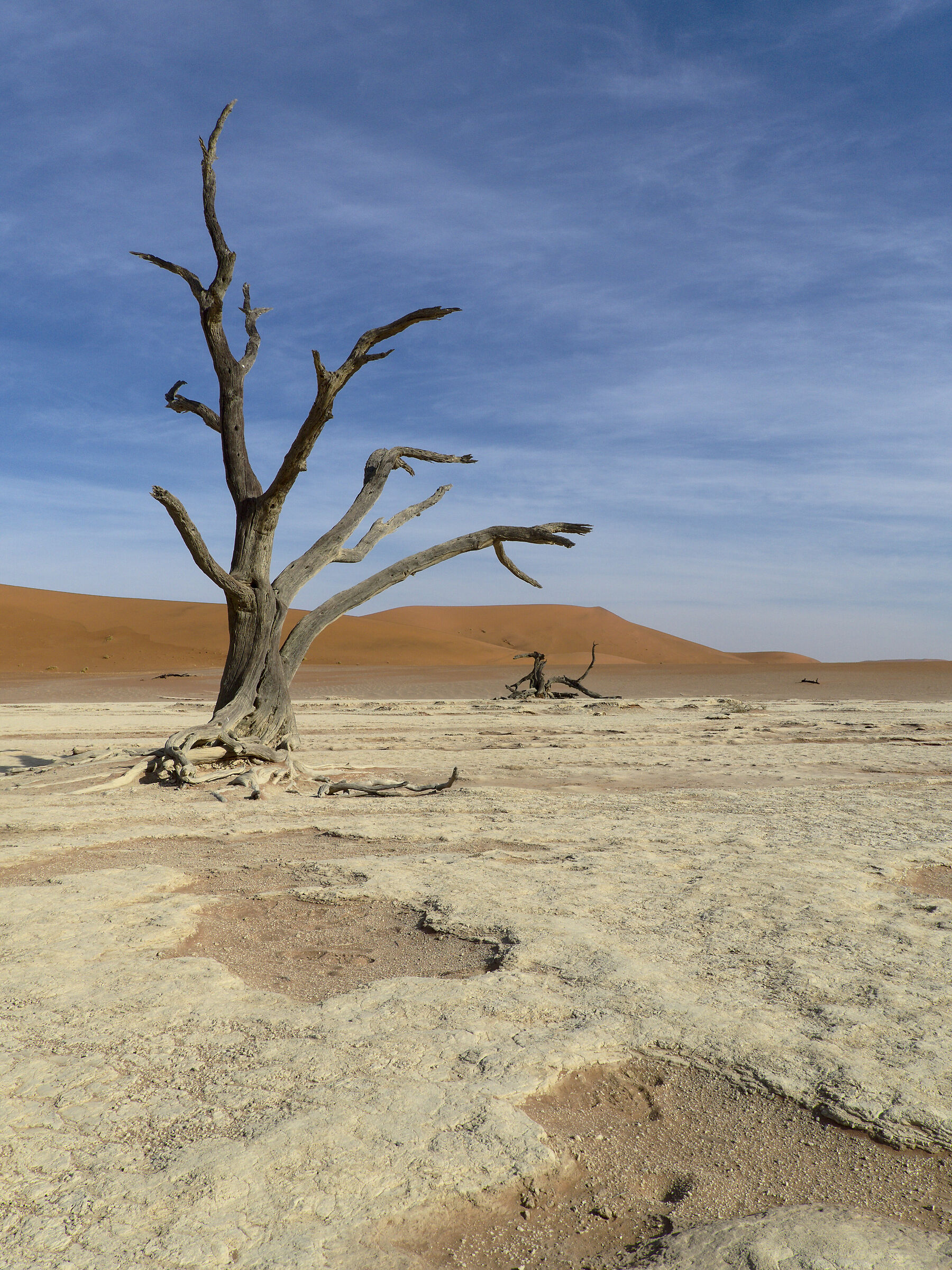 Deadvlei