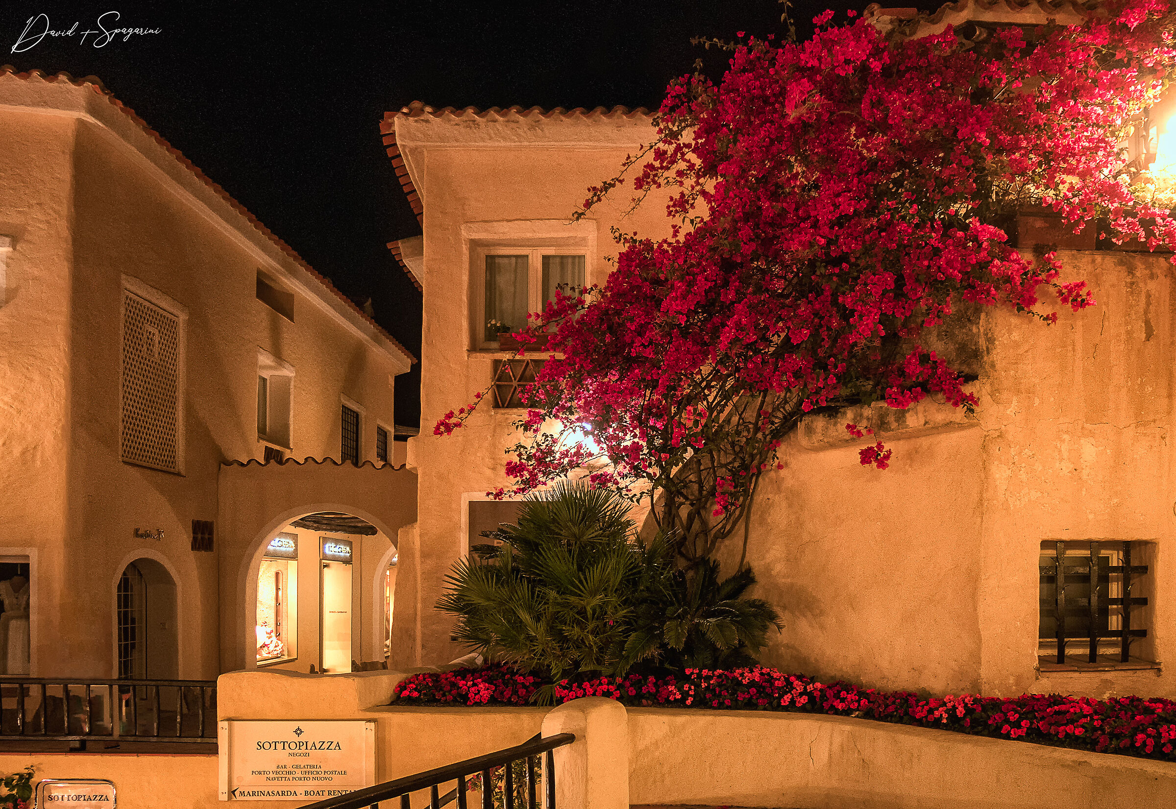 Roseto in Porto Cervo