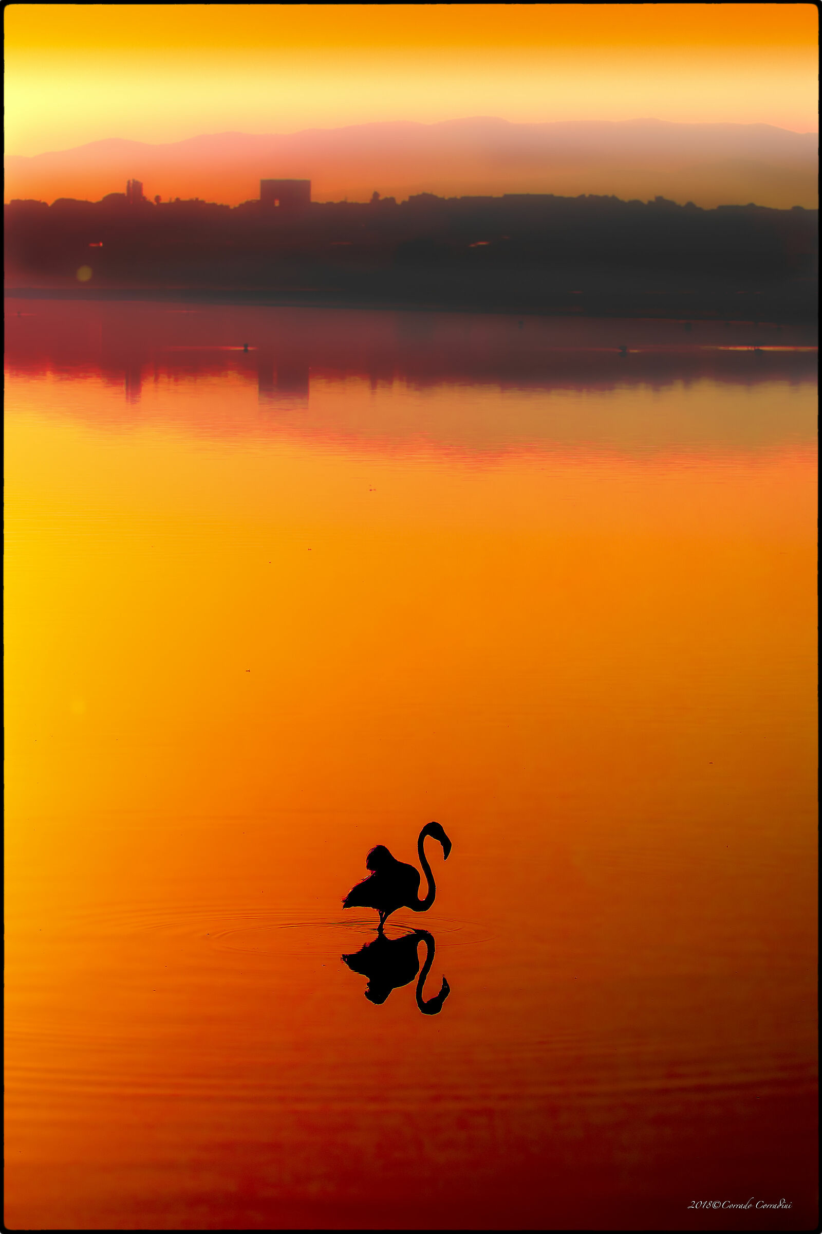 Cagliari Molentargius