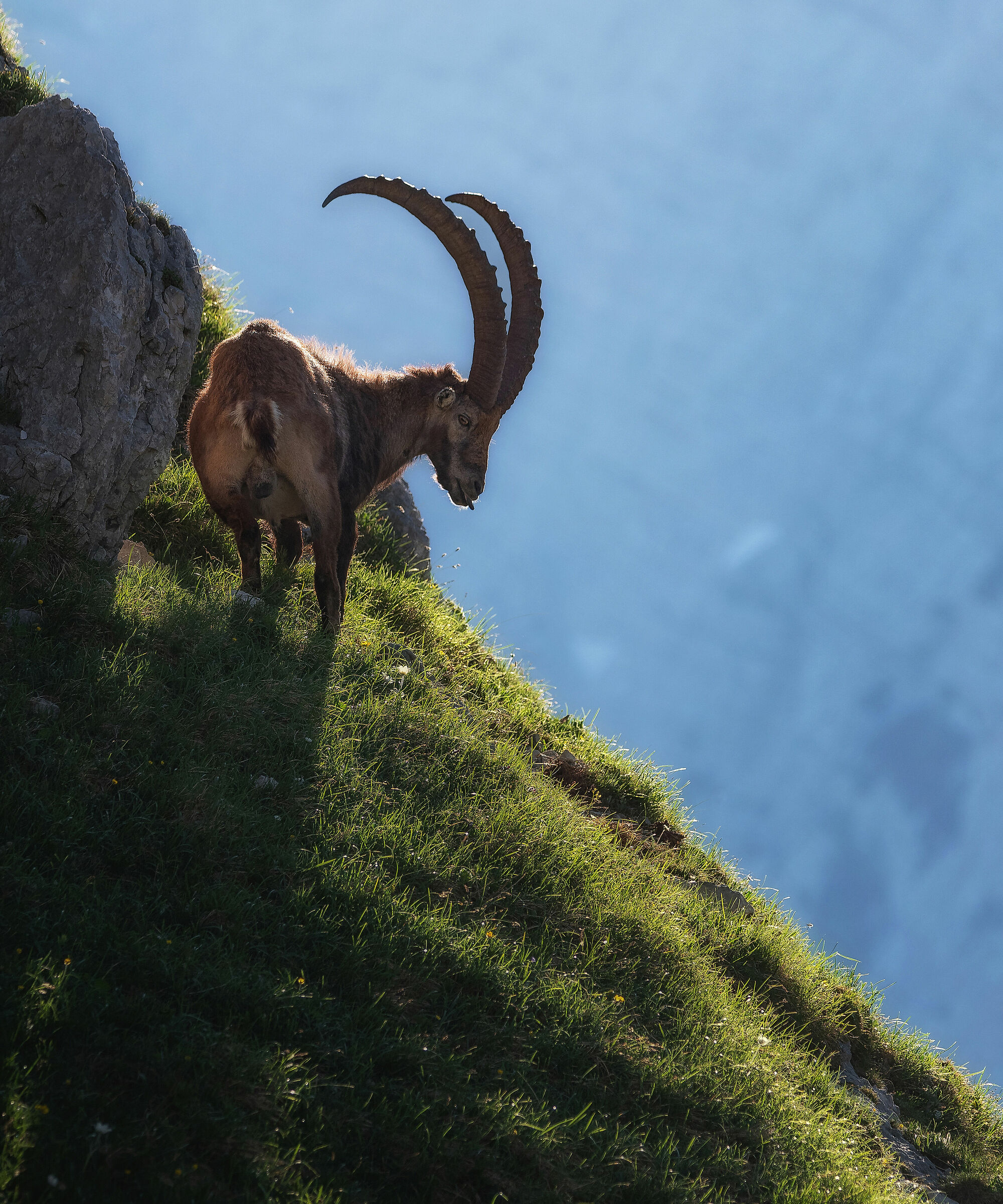 On the highest meadow