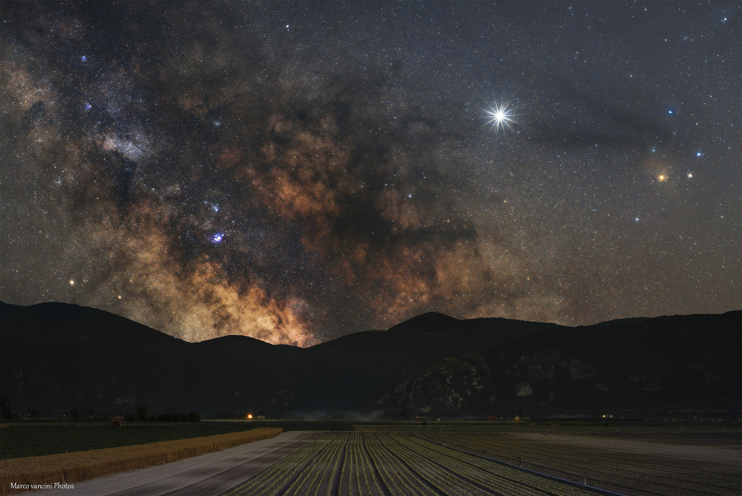 The Queen of the Night