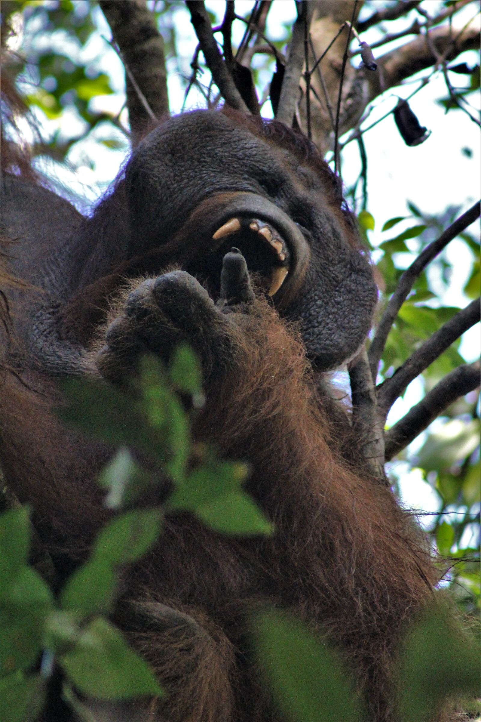 Il buongiorno si vede dal mattino!