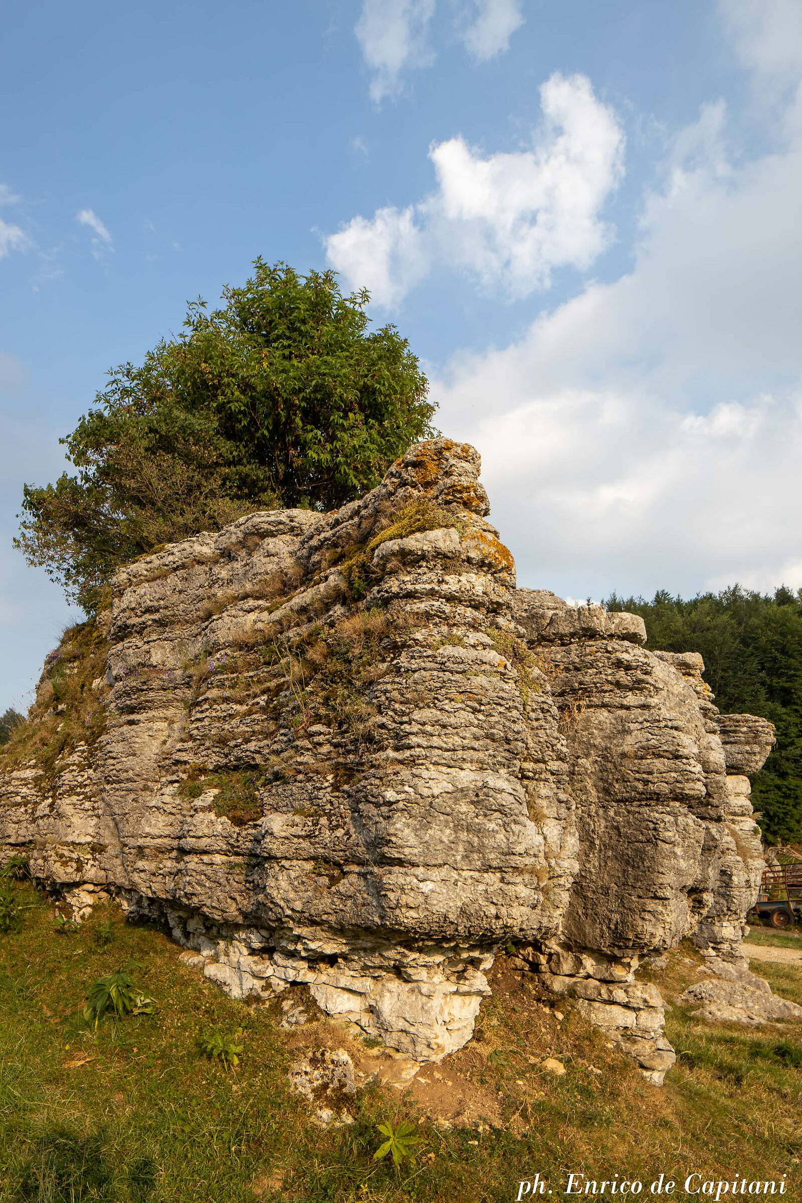 La valle delle Sfingi, 2