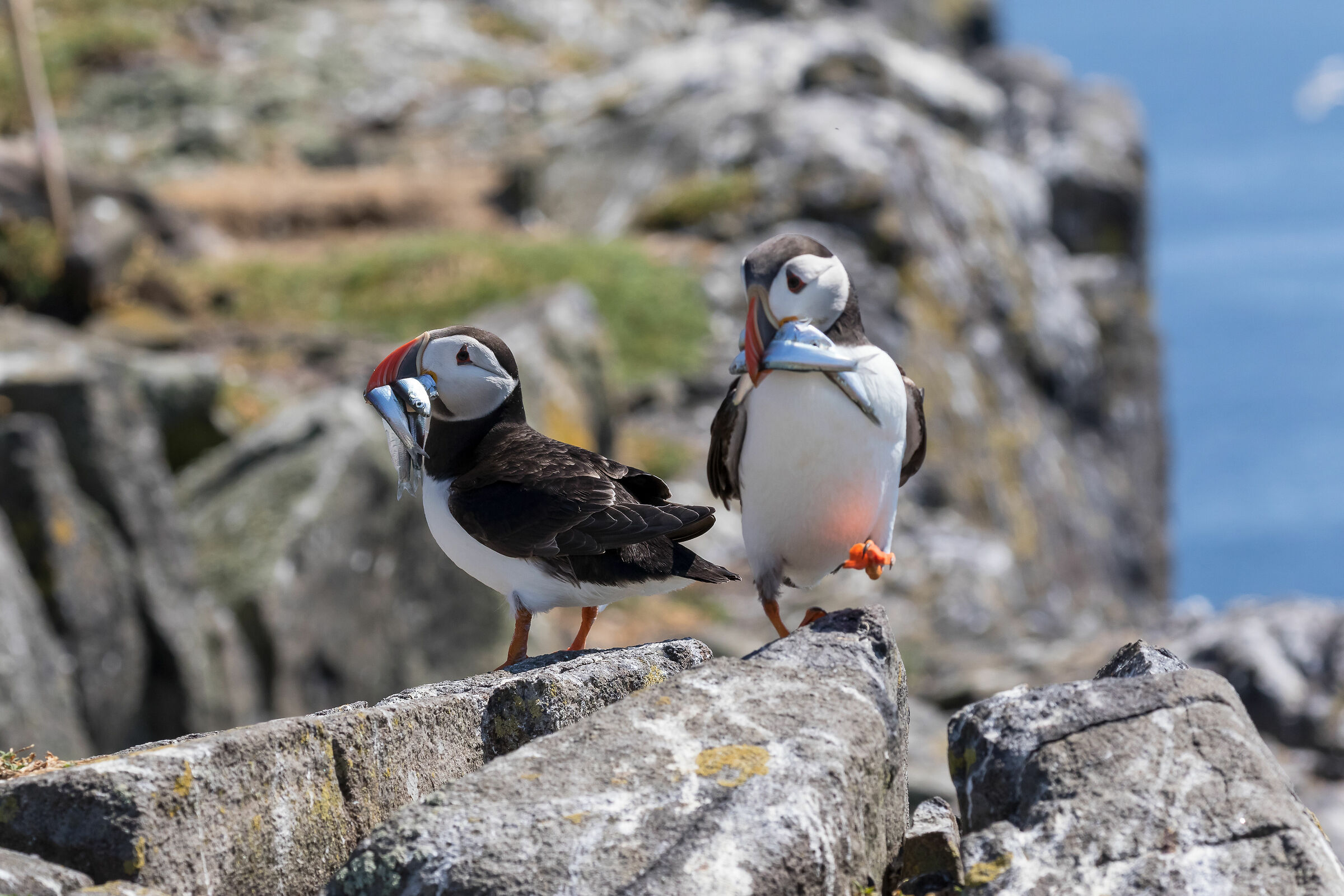 Si è fatto tardi, sarà meglio che vada