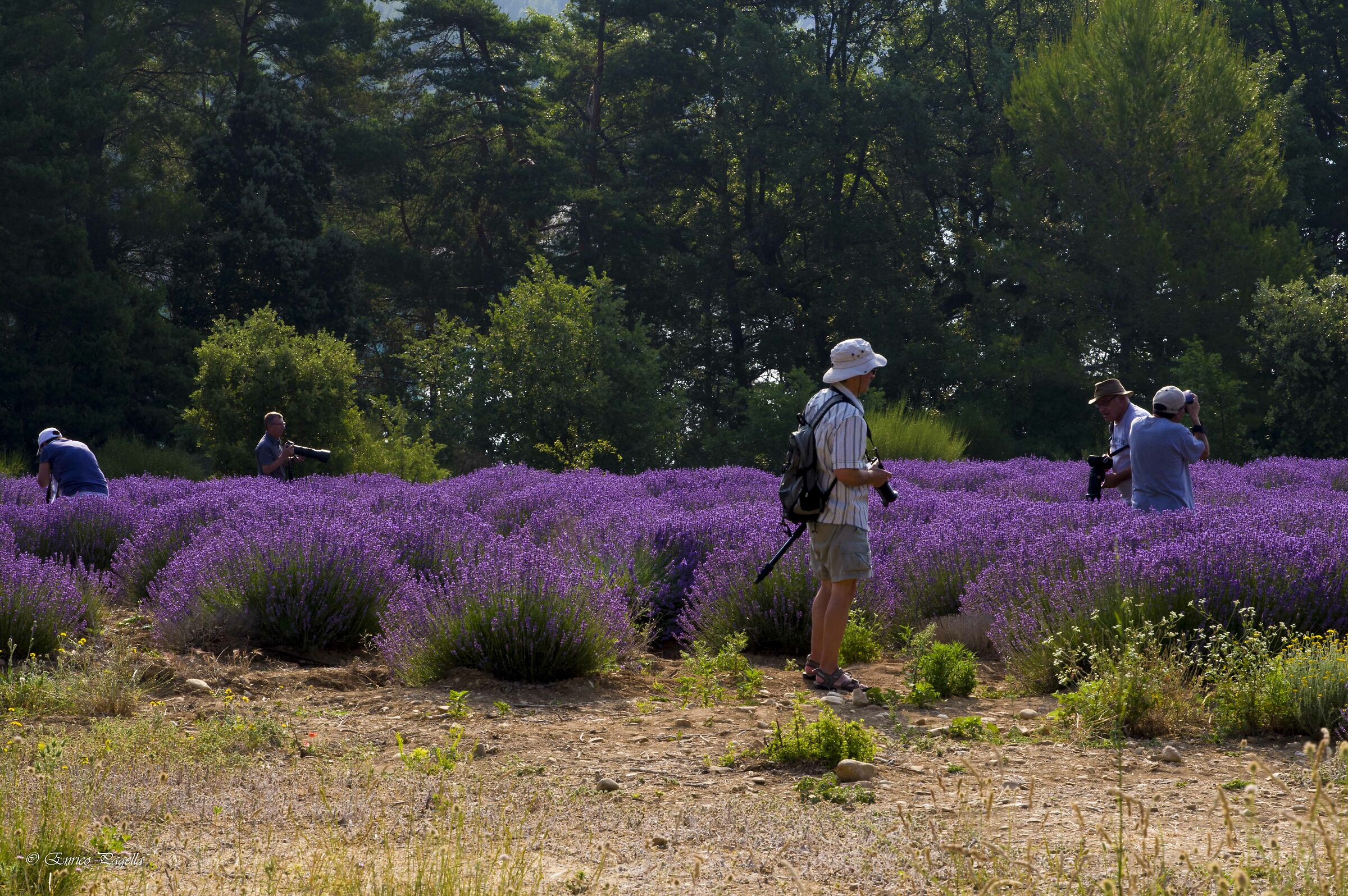 un panorama? no una macro! macchè guarda laggi&ugrave...
